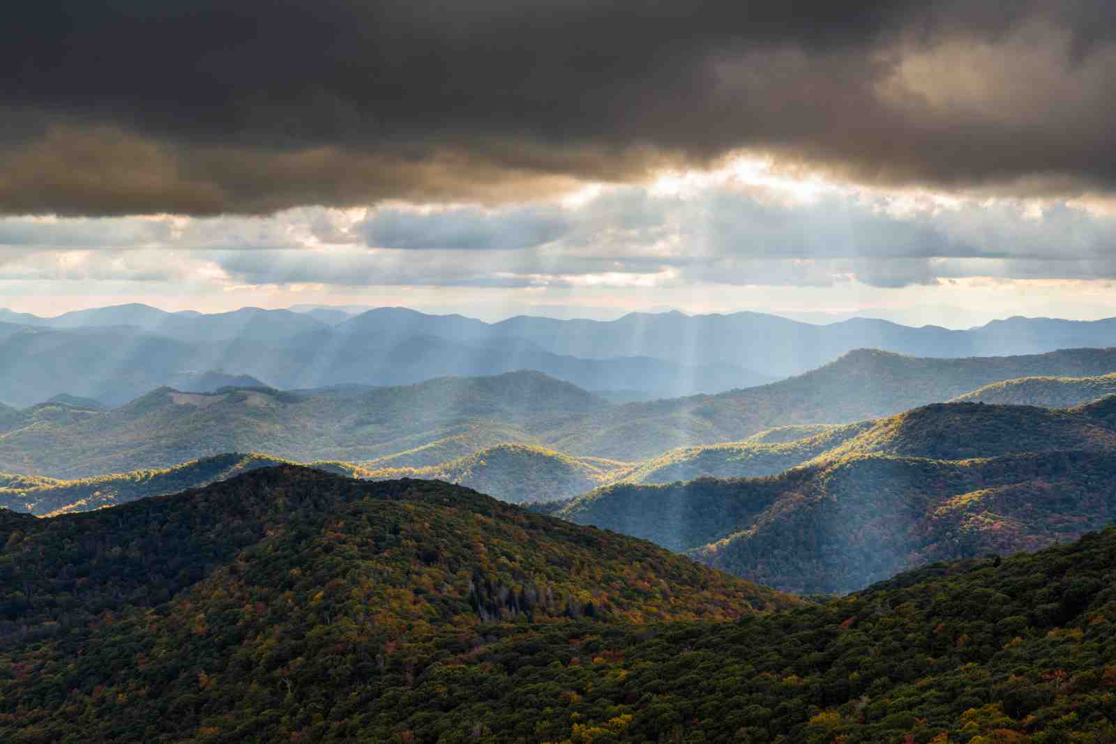 Majestic Mountain Light Wall Art