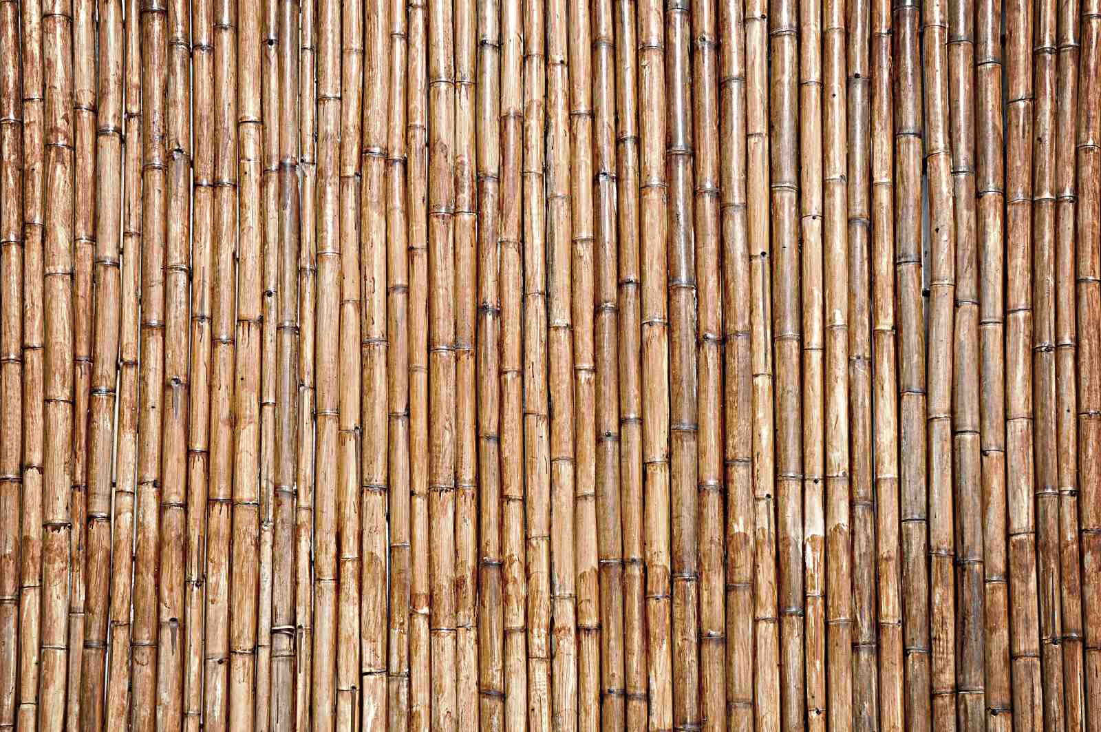Natural Bamboo Wall Decor Wall Art