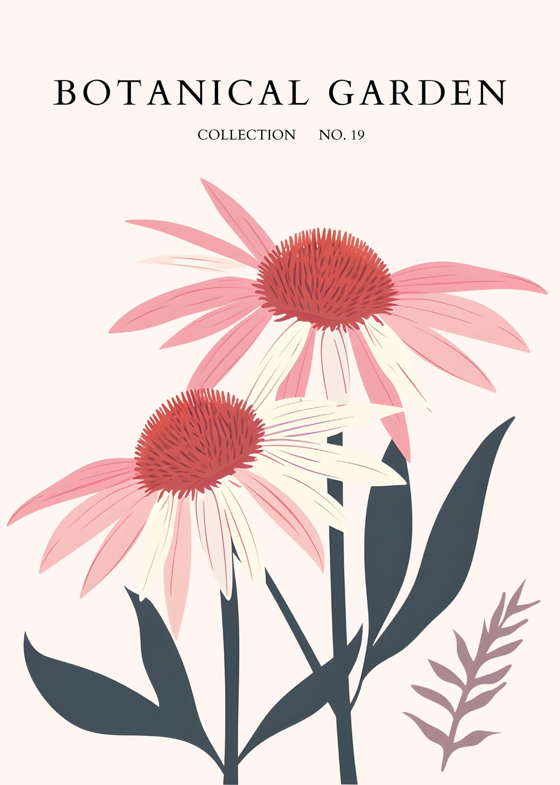Modern Pink Echinacea Botanical Wall Art