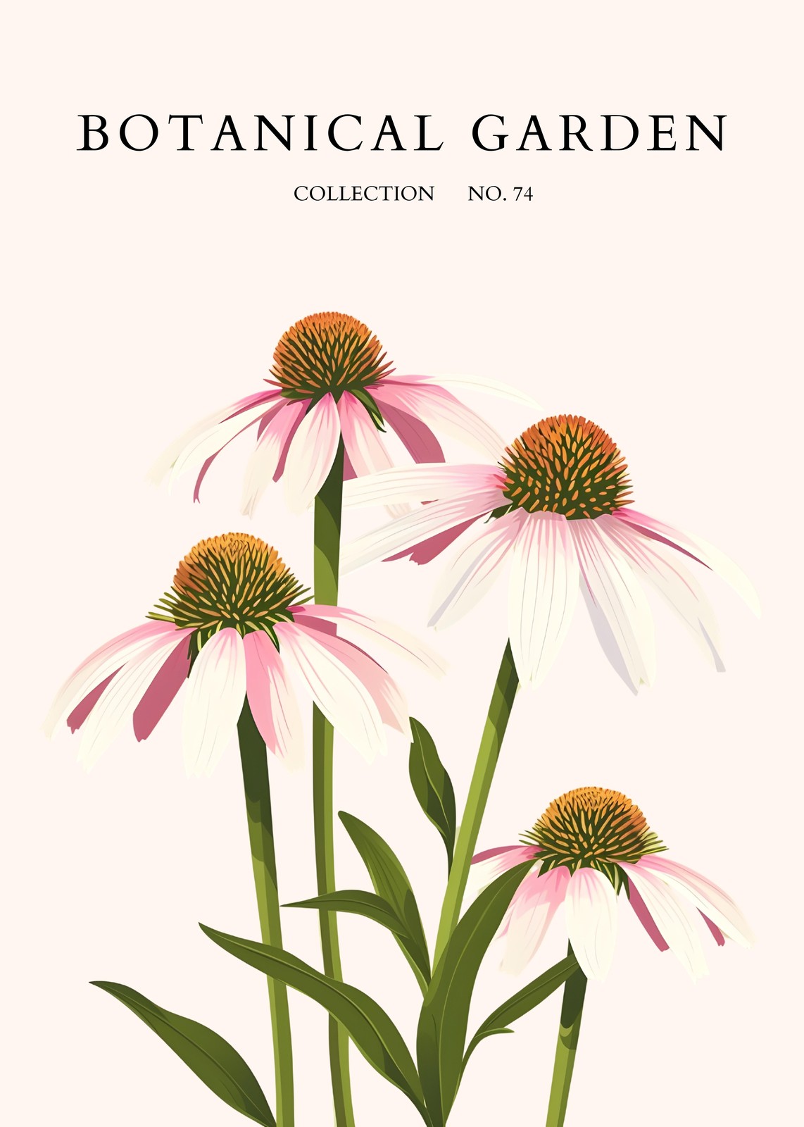 Echinacea Botanical Garden Wall Art