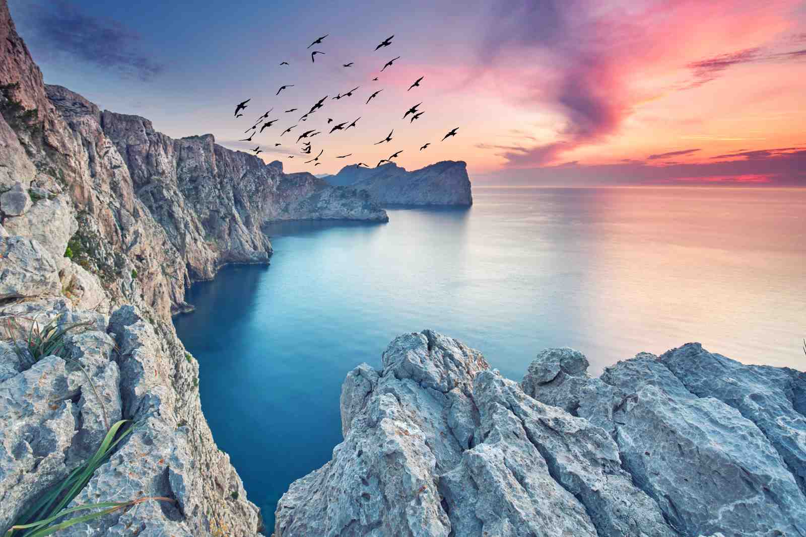 Coastal Serenity Birds Sunset Wall Art