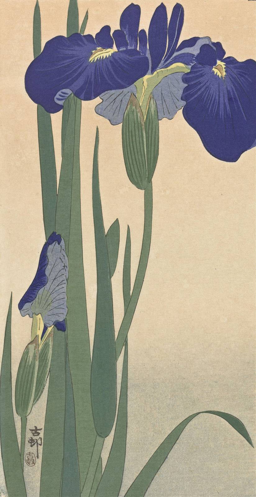 Vibrant Purple Iris Floral Japanese Art Wall Art