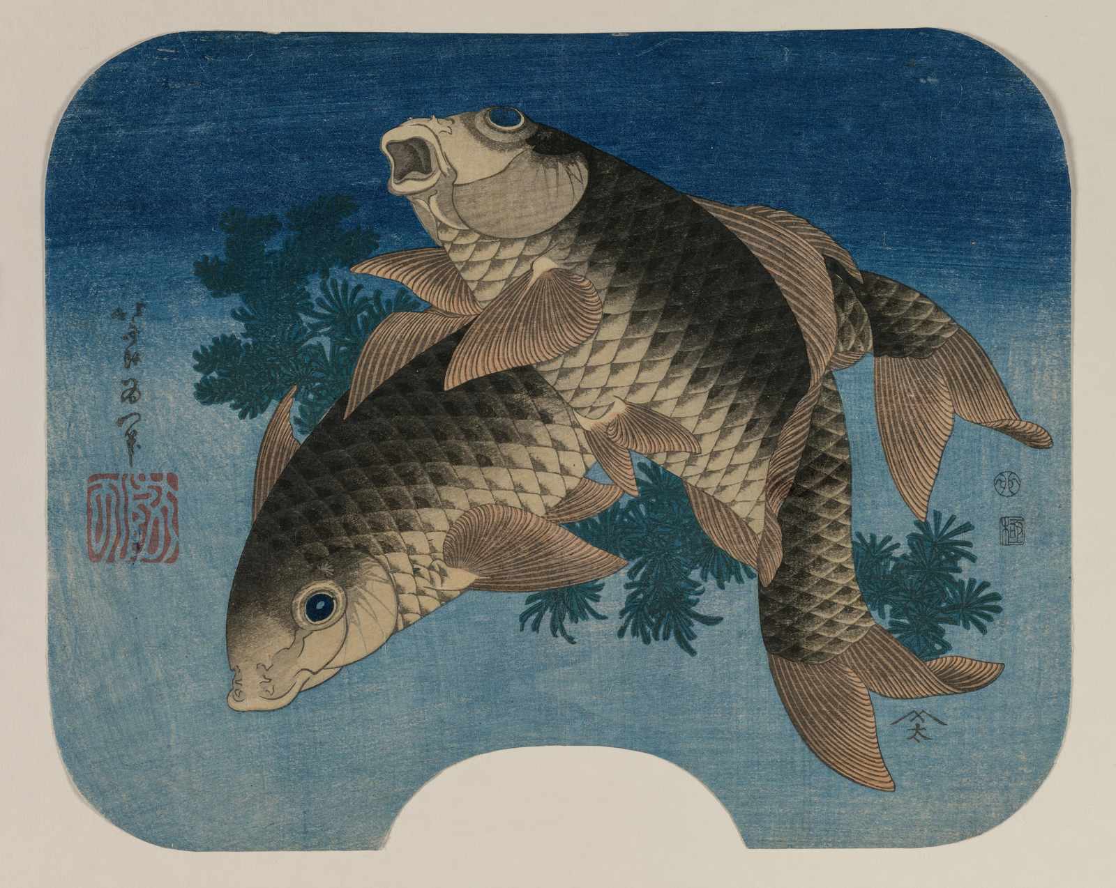 Japanese Koi Fish Serenity Wall Art