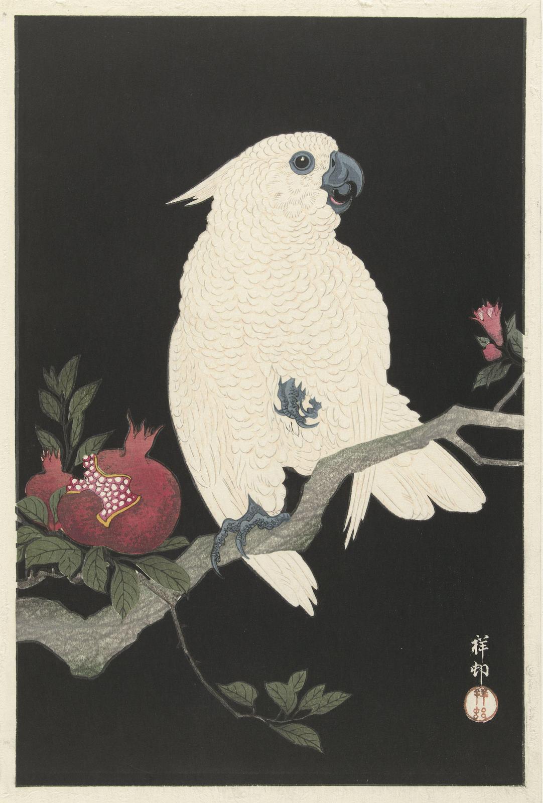 Elegant White Cockatoo & Pomegranate Wall Art