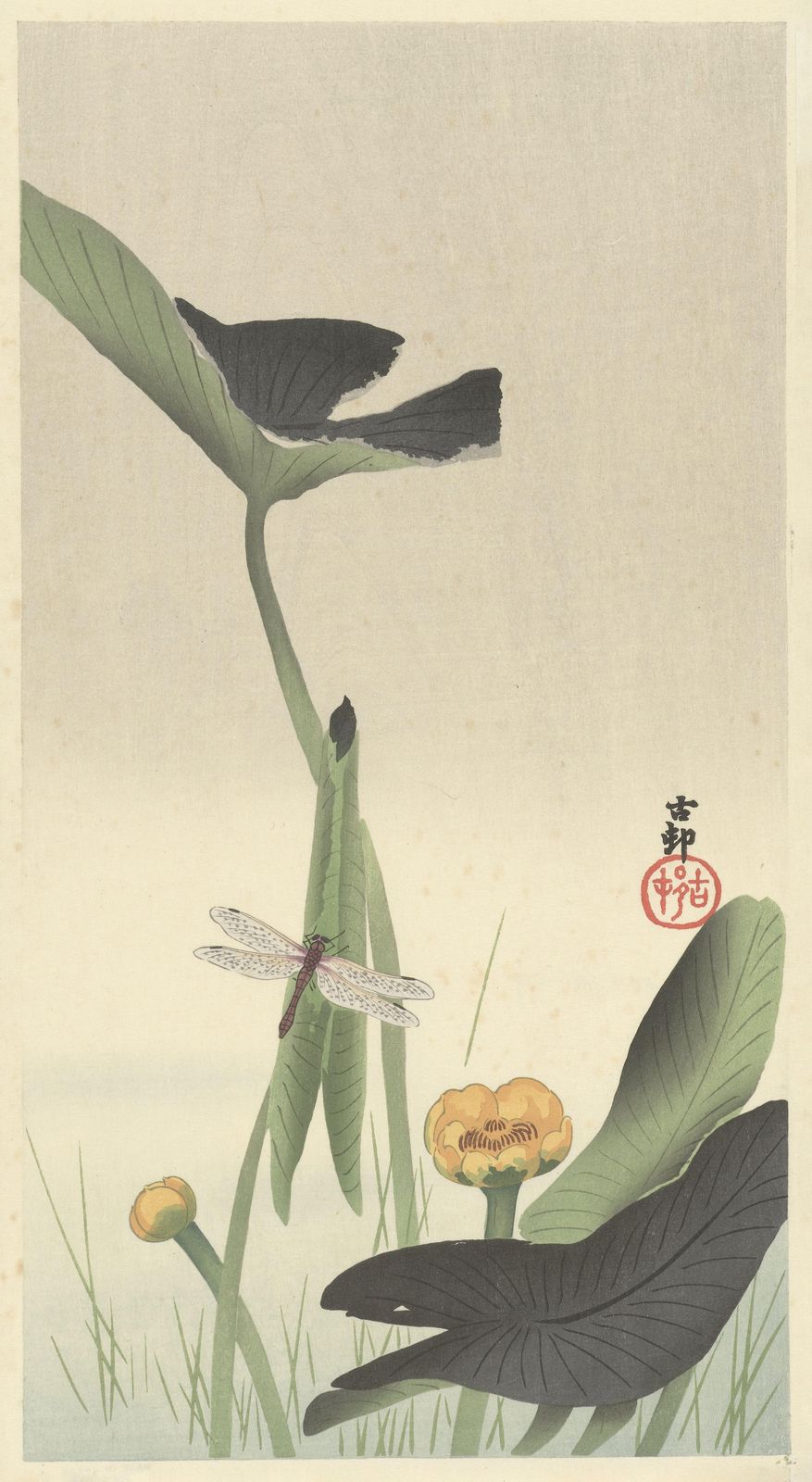 Tranquil Dragonfly & Lotus Wall Art