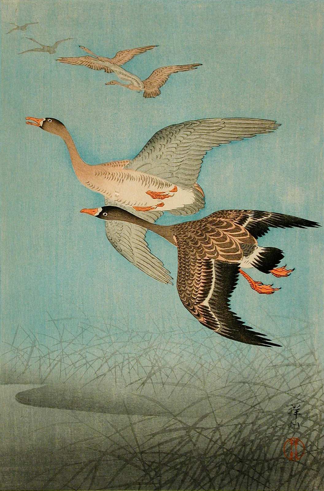 Elegant Geese in Flight Wall Art