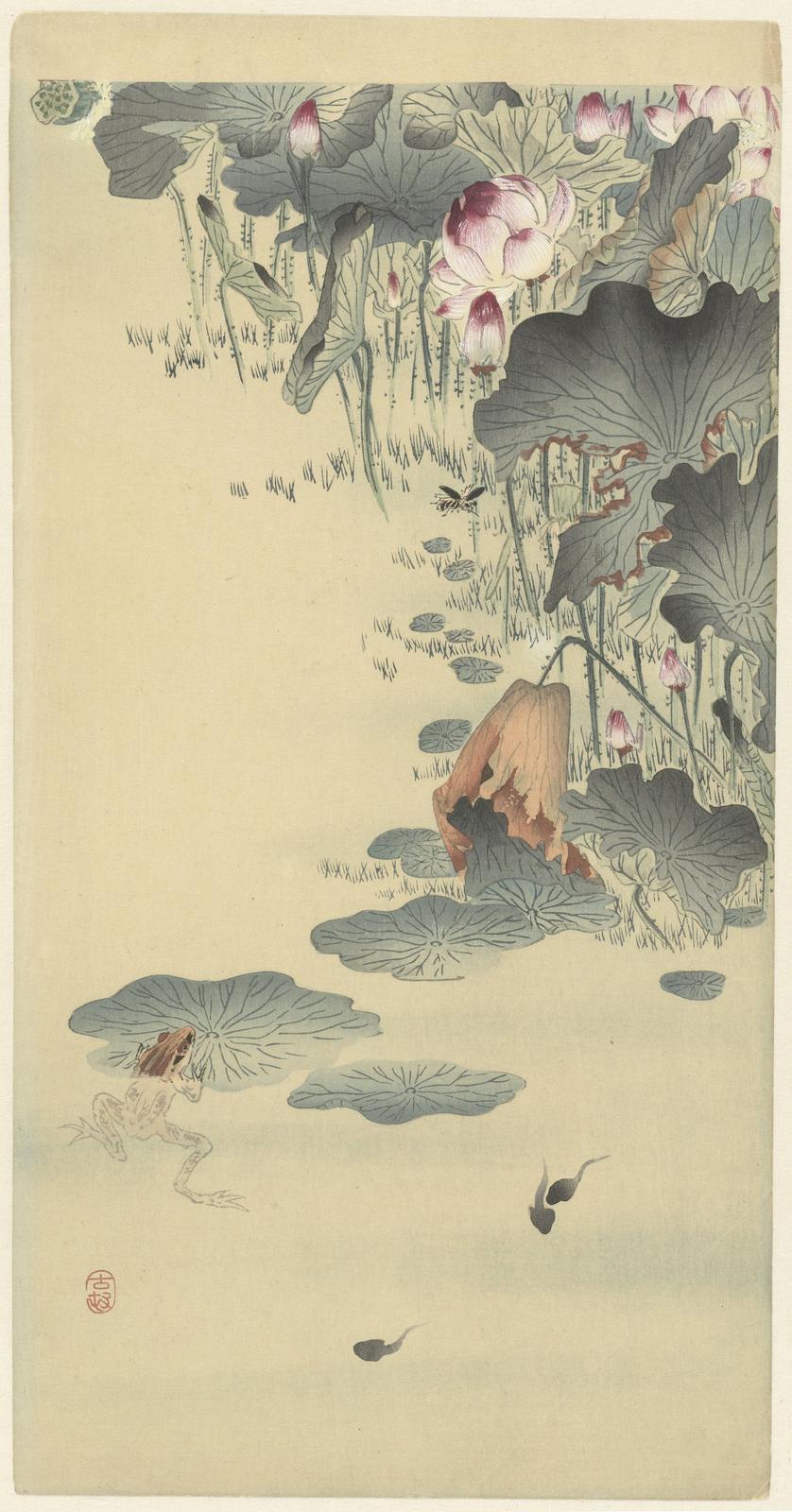 Tranquil Frog & Lotus Pond Wall Art