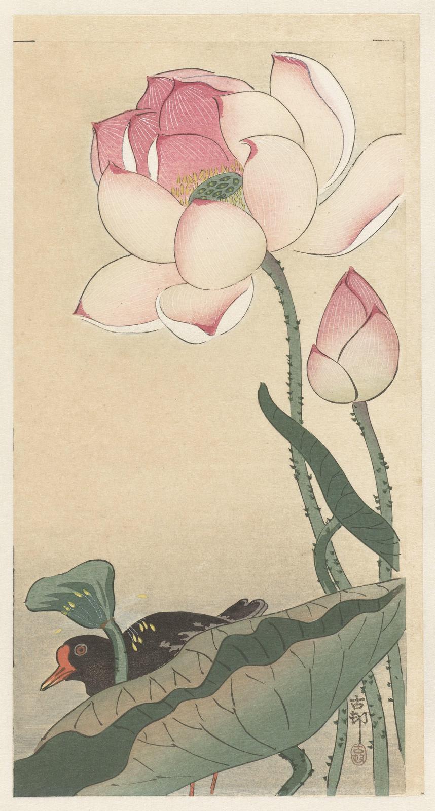 Tranquil Lotus Bird Japanese Art Wall Art