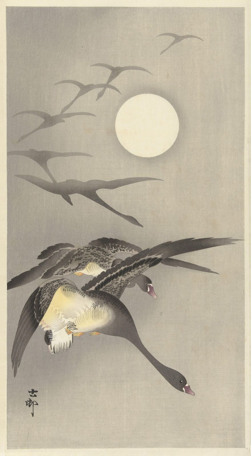 Serene Moonlit Flight Wall Art