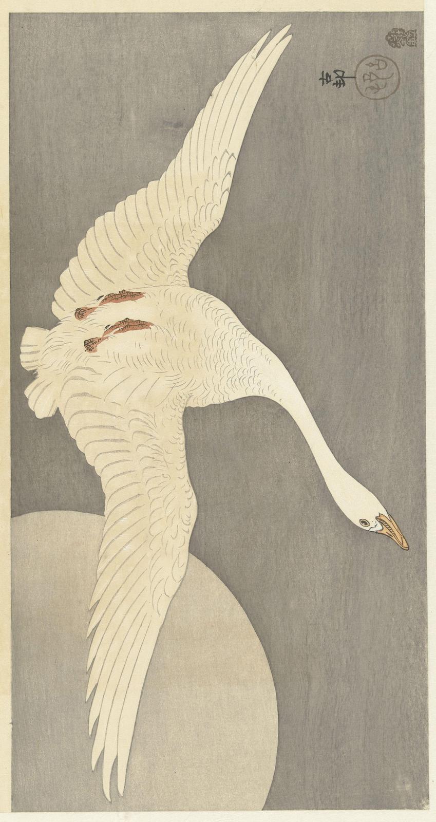 Elegant Swan in Flight Wall Art
