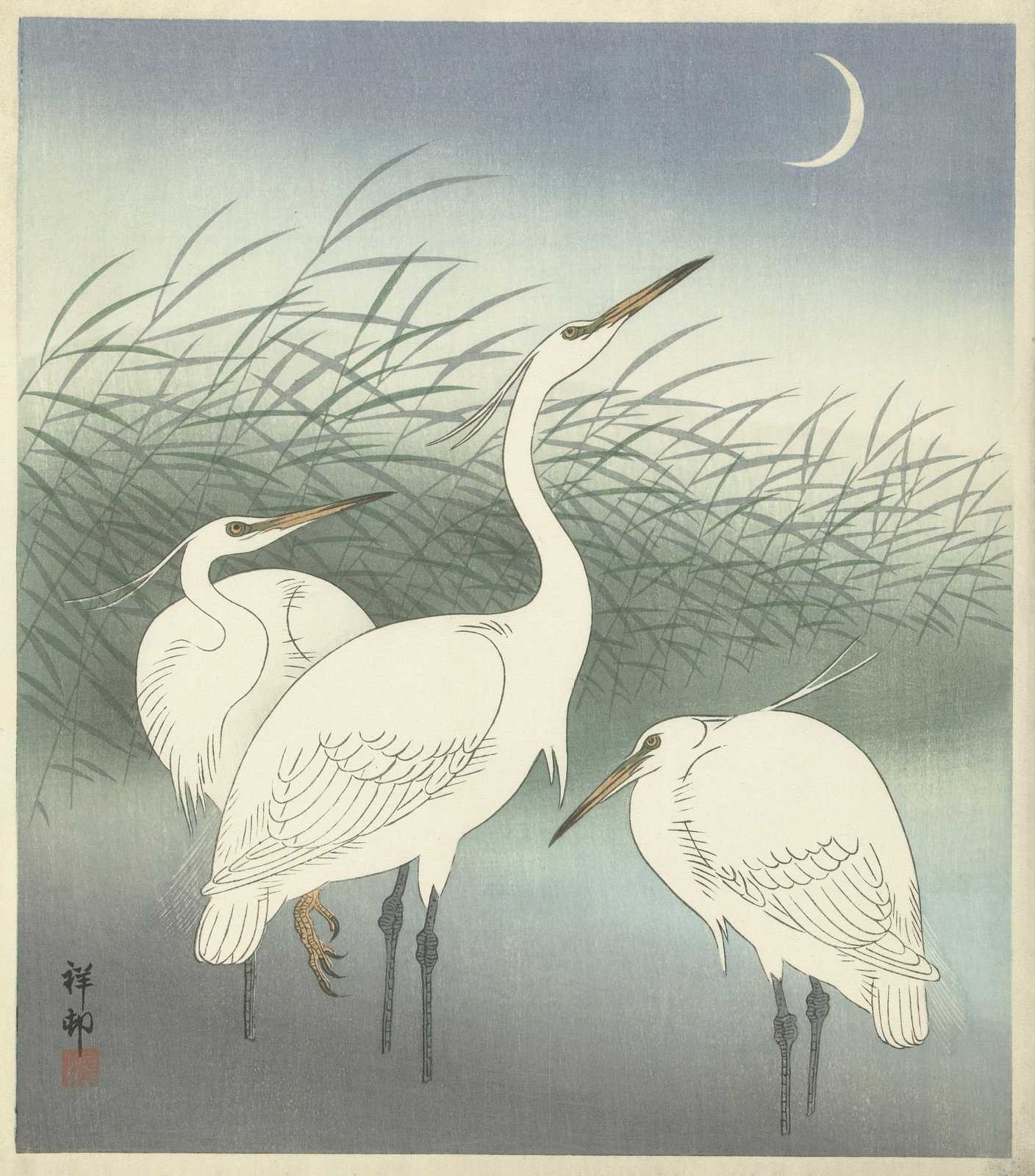 Tranquil Egrets Moonlit Reeds Wall Art
