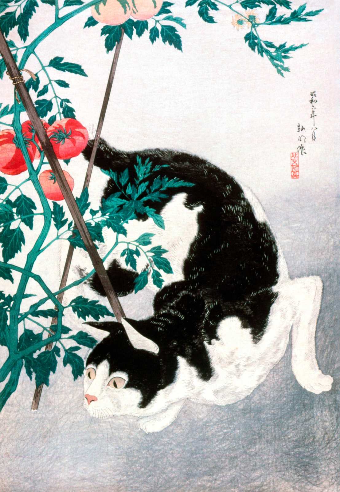 Playful Tuxedo Cat in Garden Wall Art