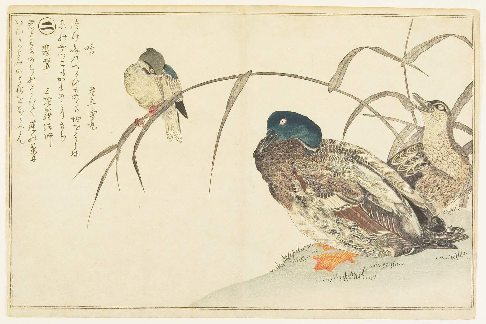 Japanese Ducks & Bird Bamboo Wall Art
