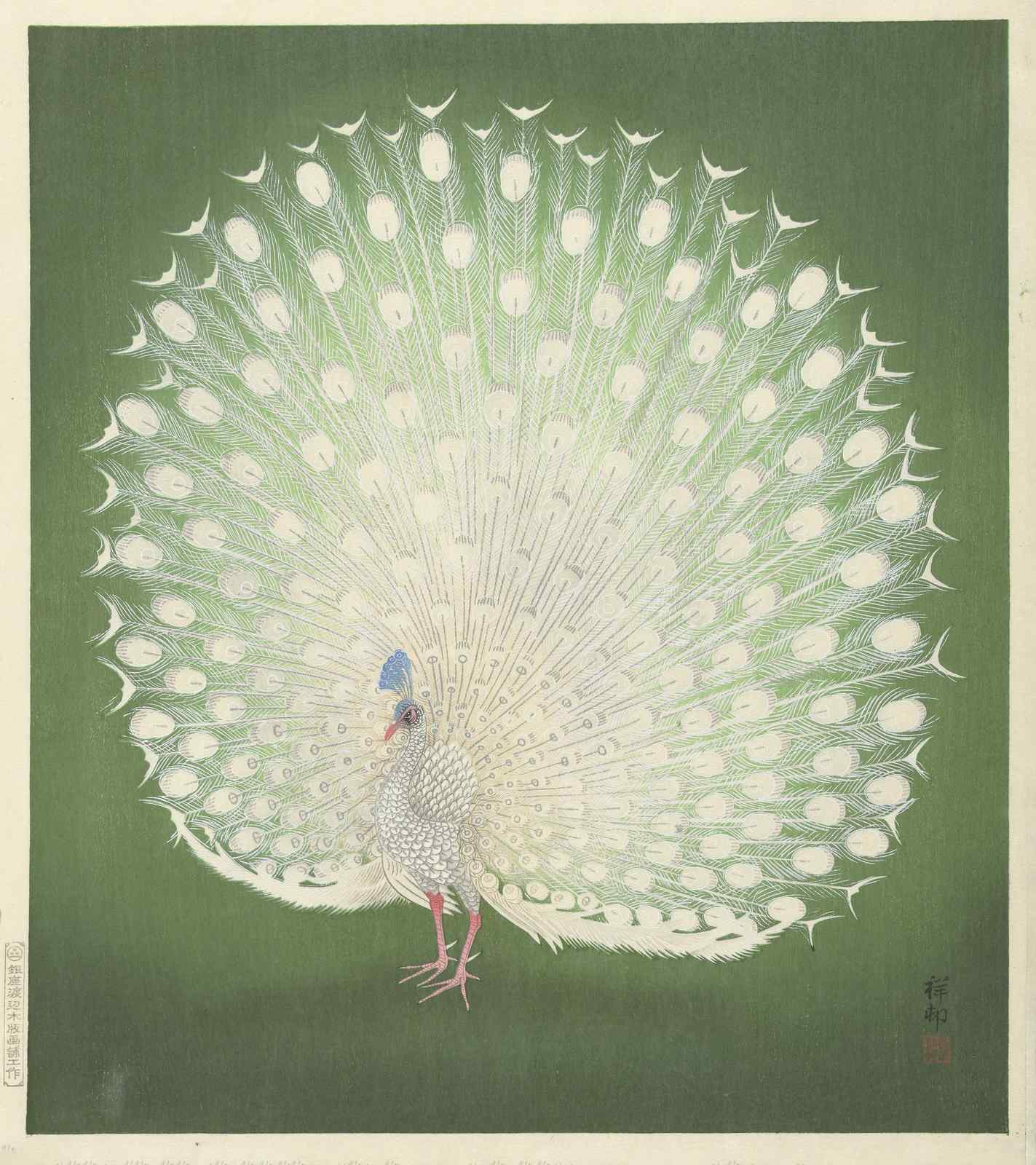 Elegant White Peacock Display Wall Art