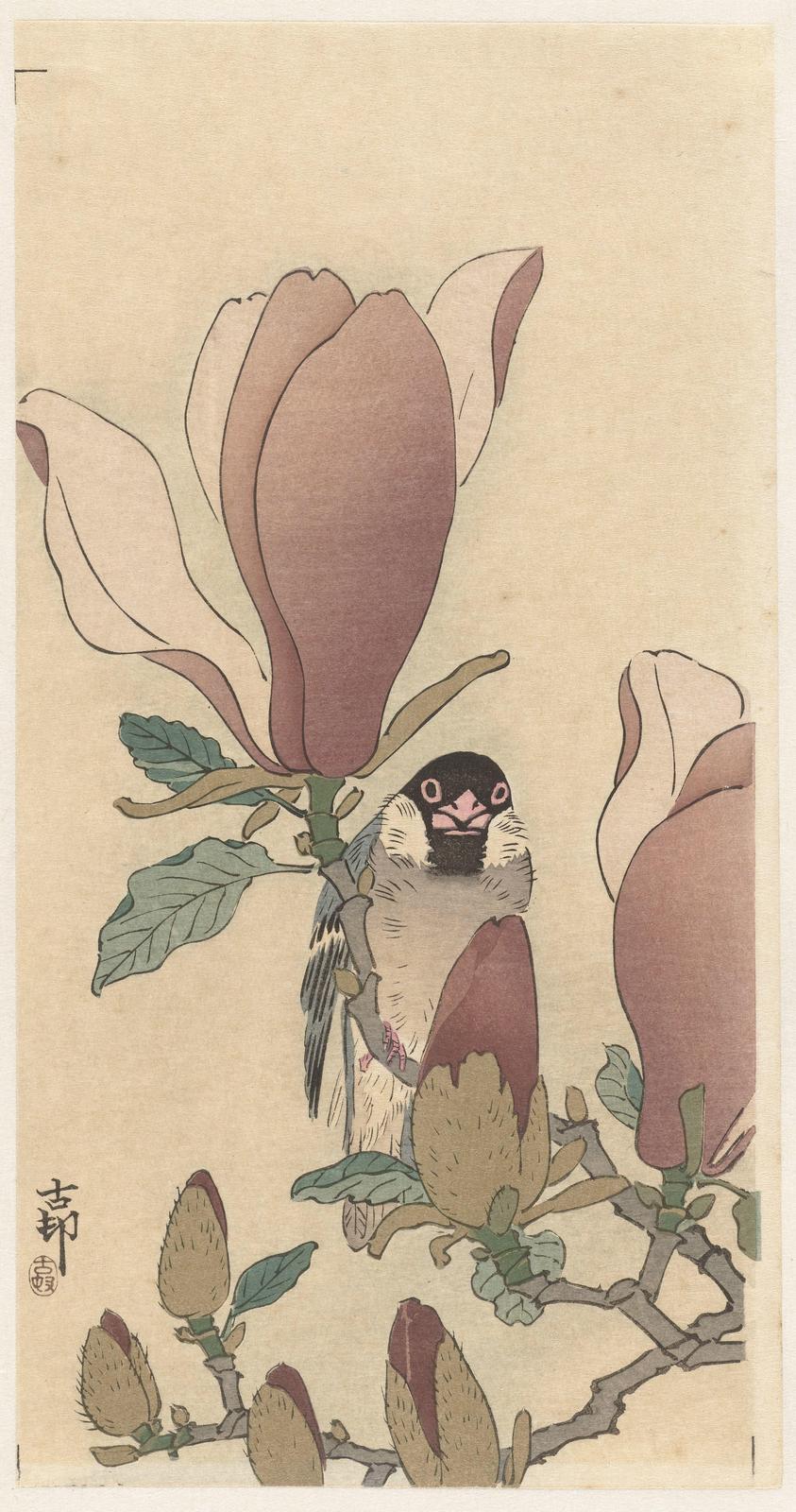 Bird & Magnolia Blossom Japanese Art Wall Art