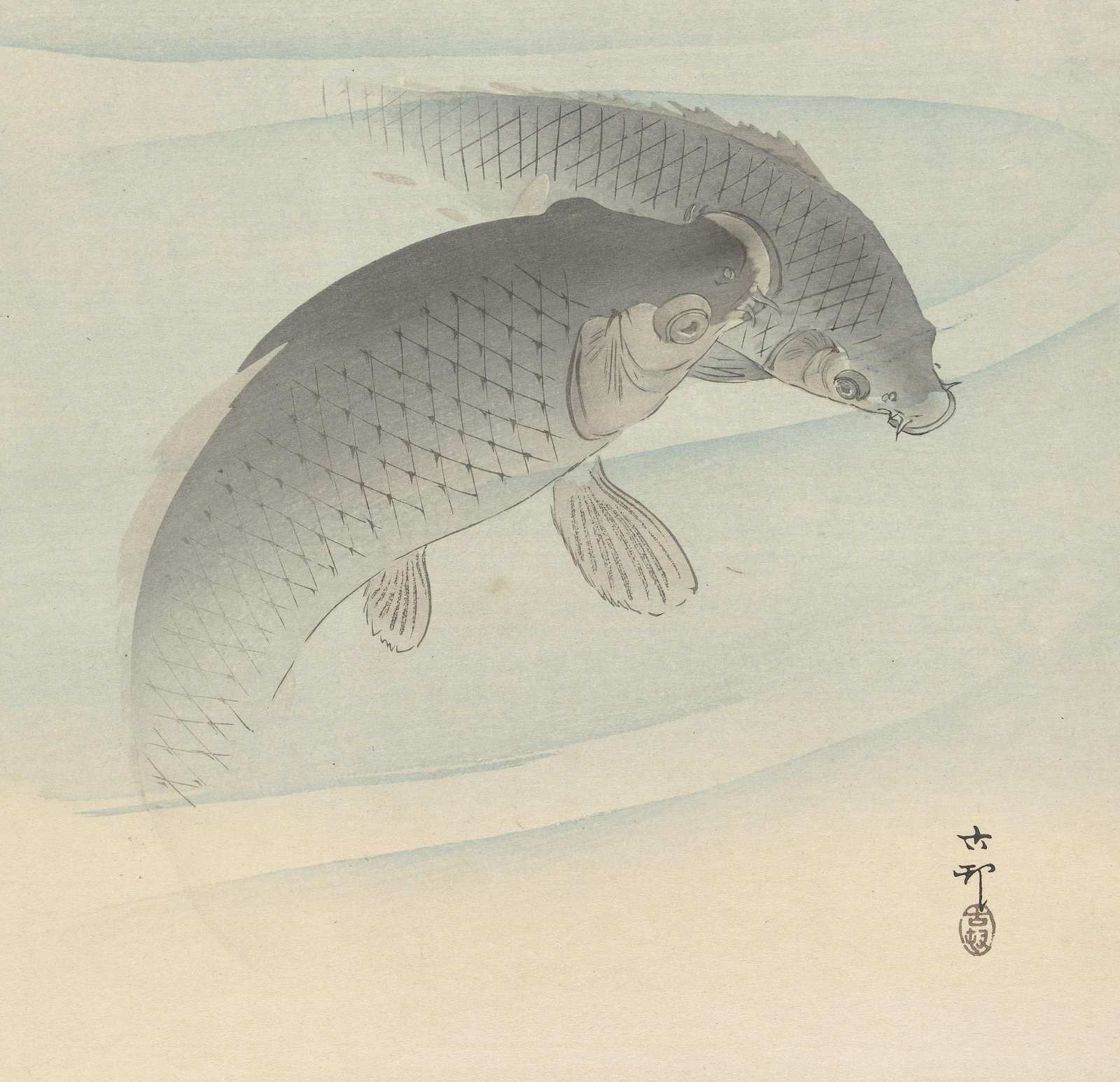 Elegant Koi Fish Zen Watercolor Wall Art