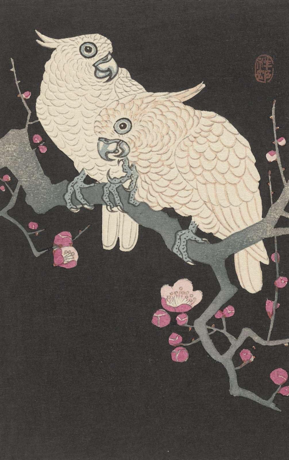 Elegant Cockatoos Plum Blossom Wall Art