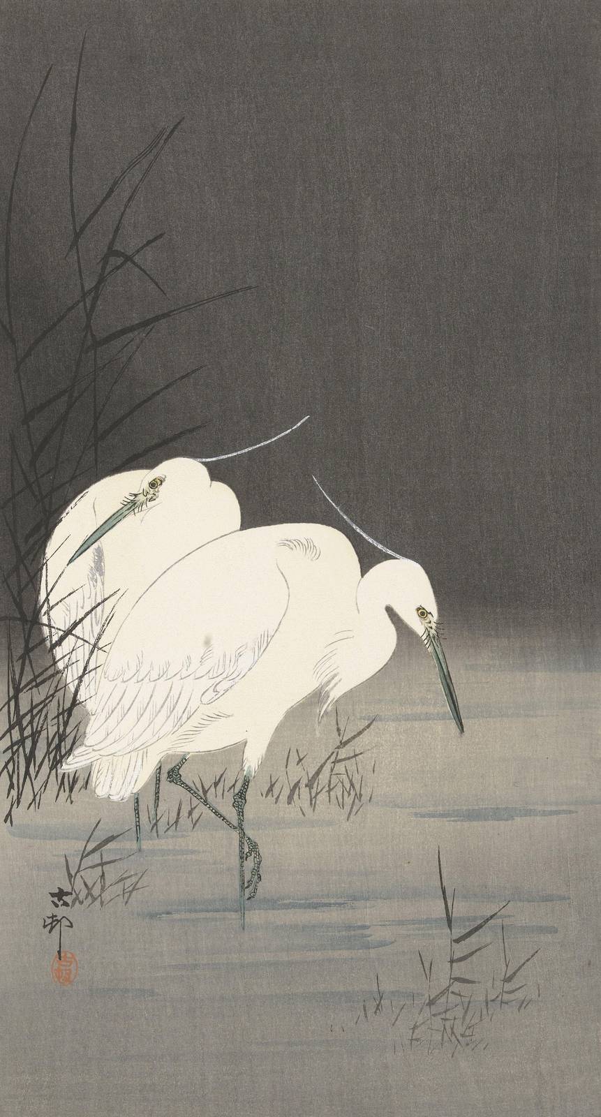 Serene Egrets by the Water Wall Art