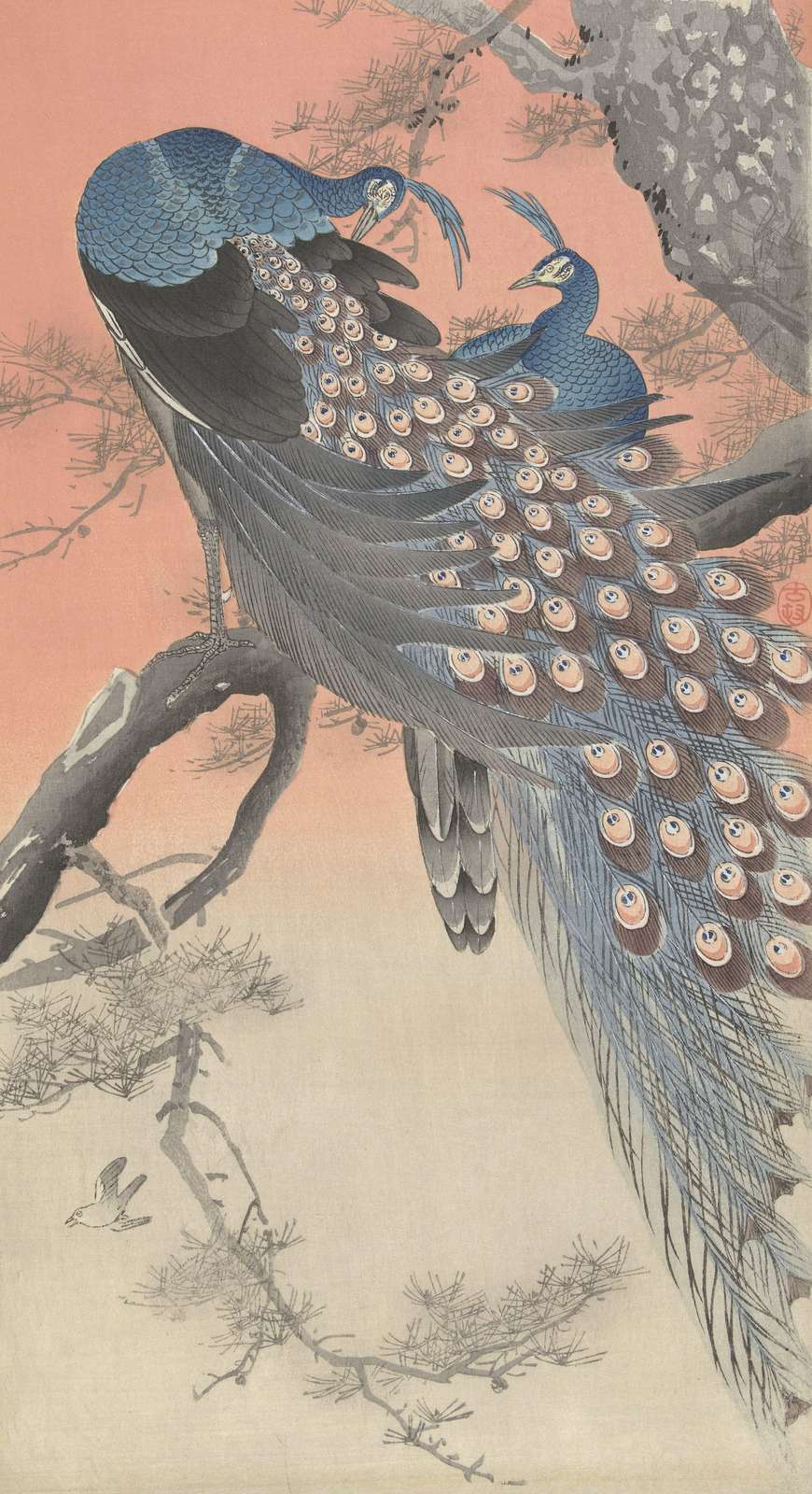Elegant Peacocks on Pine Tree Wall Art