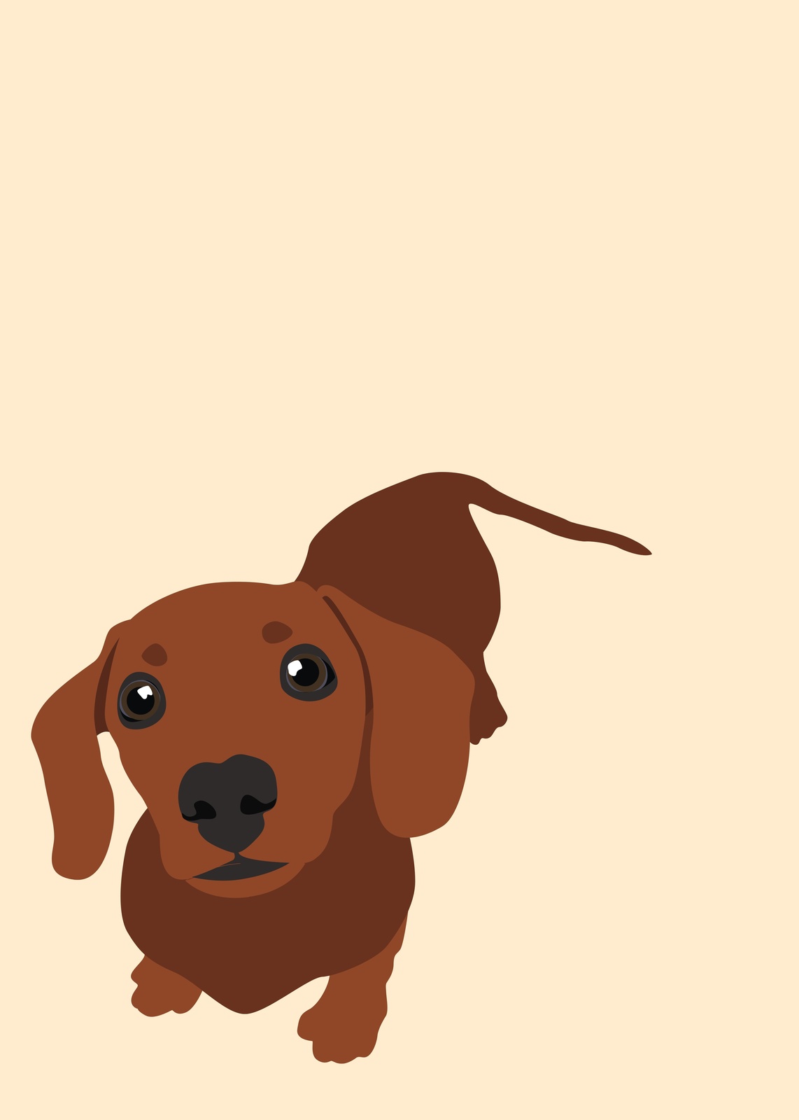 Adorable Dachshund Puppy Portrait Wall Art