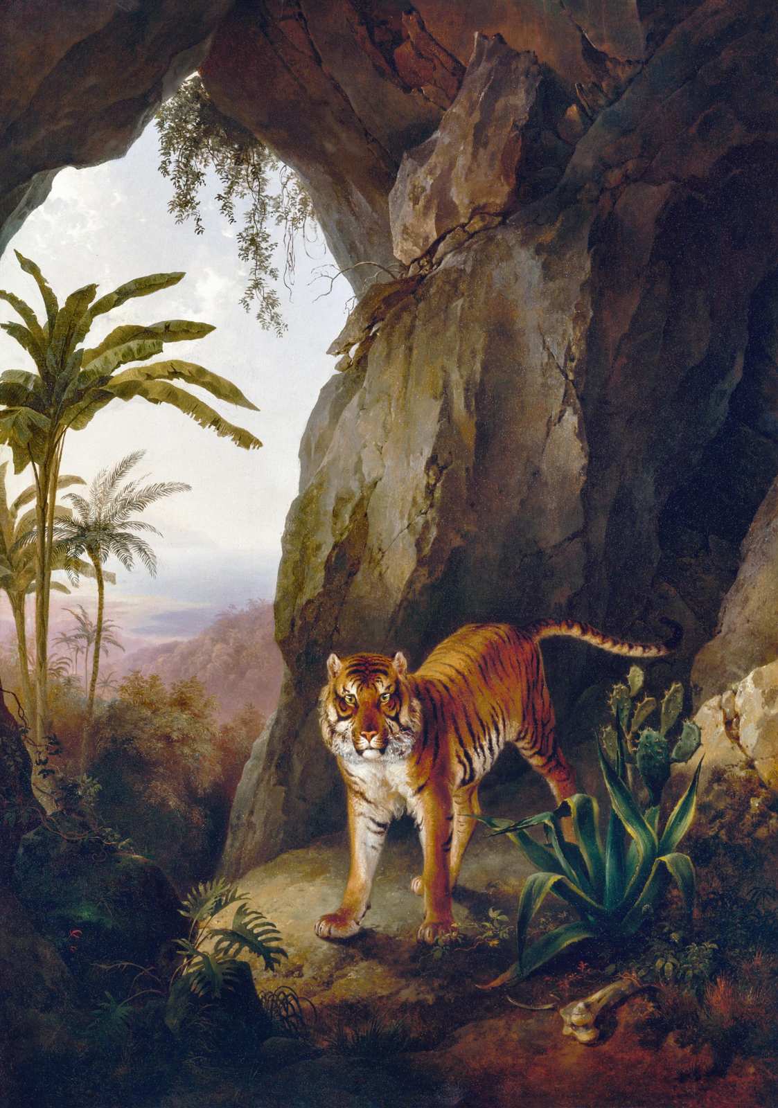 Majestic Tiger in Cave Wildlife Wall Art