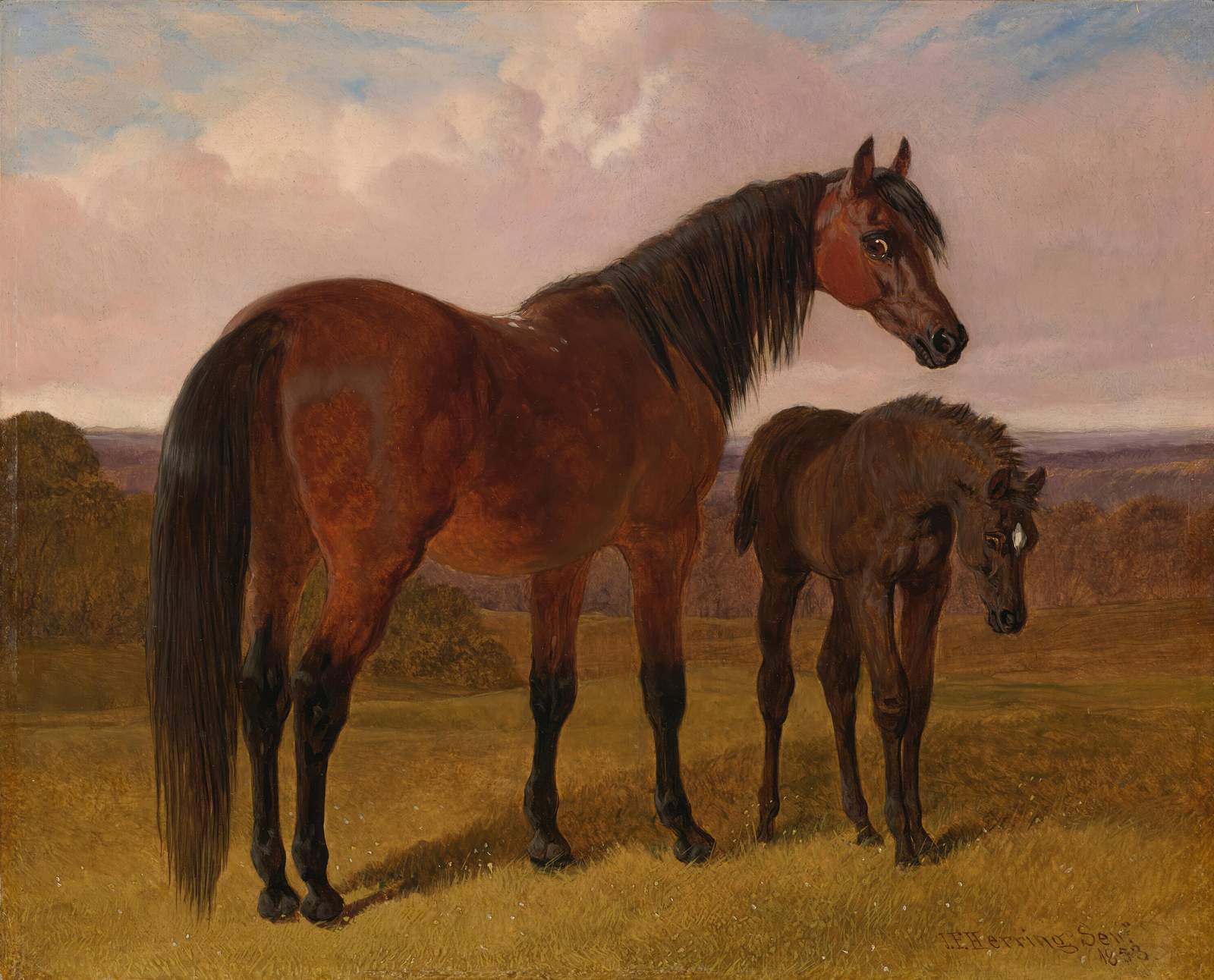 Majestic Horse & Foal Pastoral Wall Art