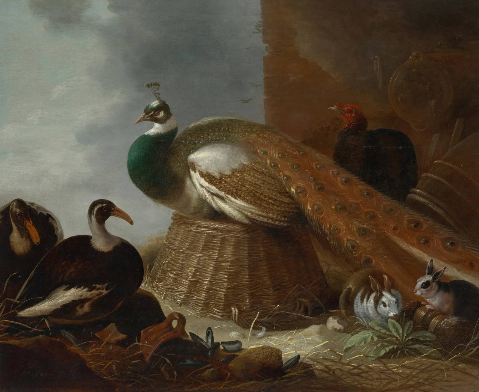 Elegant Peacock & Wildlife Still Life Wall Art