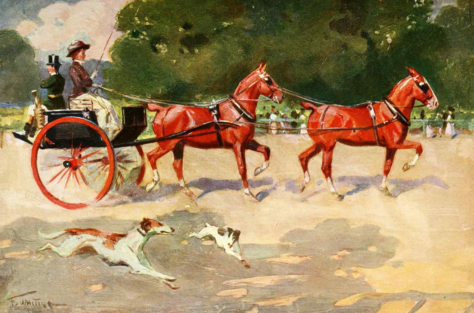 Vintage Horse Carriage Race Wall Art