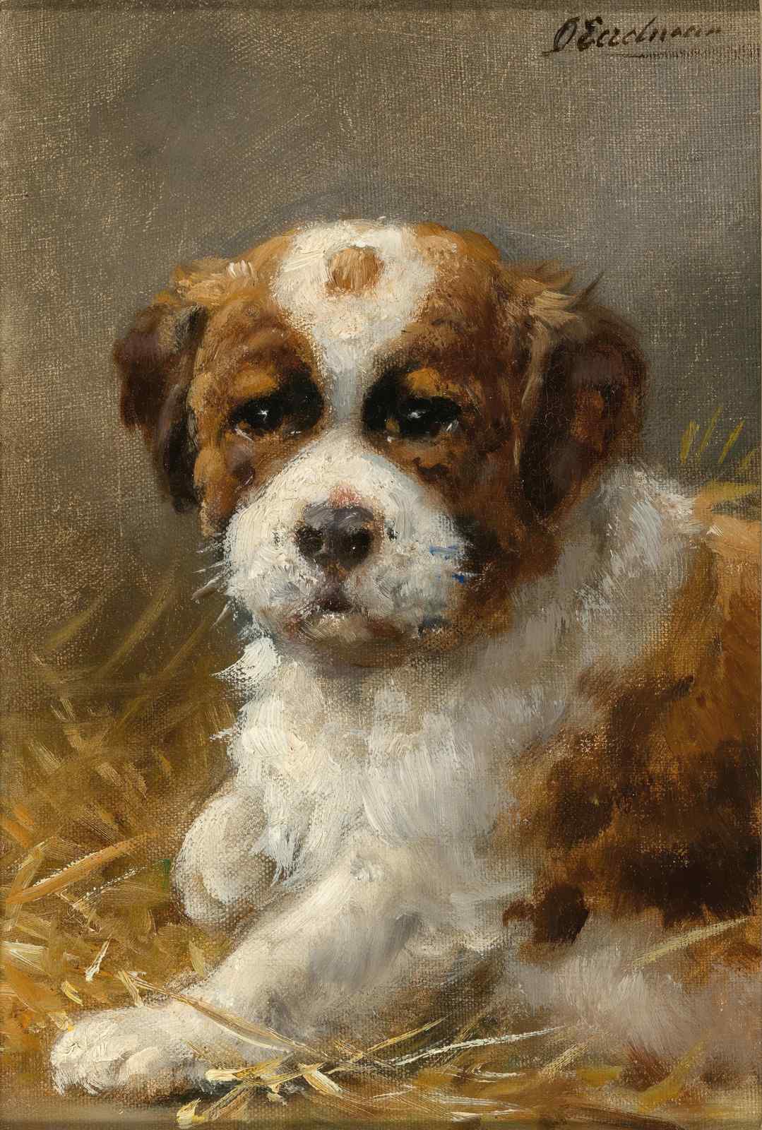 Adorable St. Bernard Puppy Oil Painting Wall Art