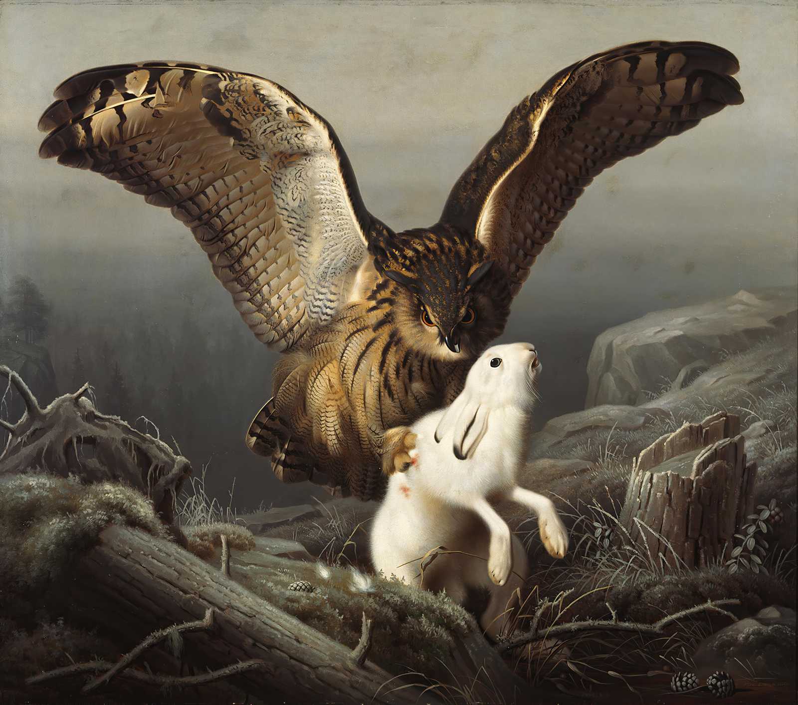 Majestic Owl Hunt Wildlife Art Wall Art