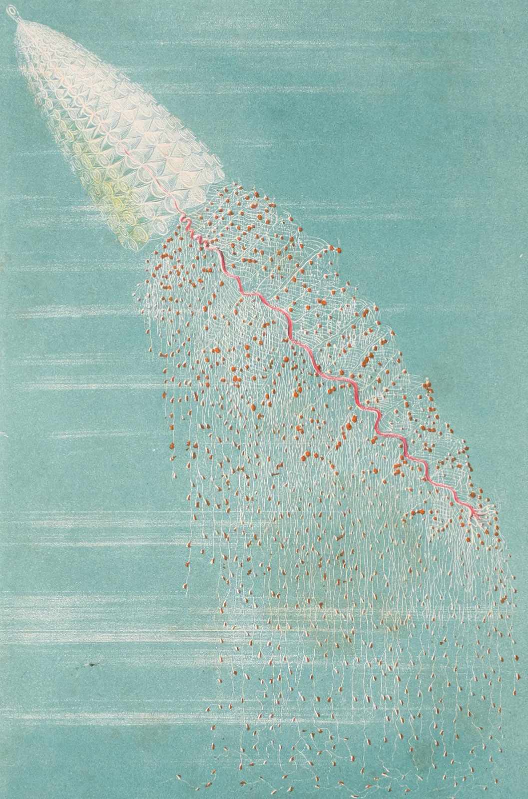 Oceanic Bloom Jellyfish Vintage Art Wall Art