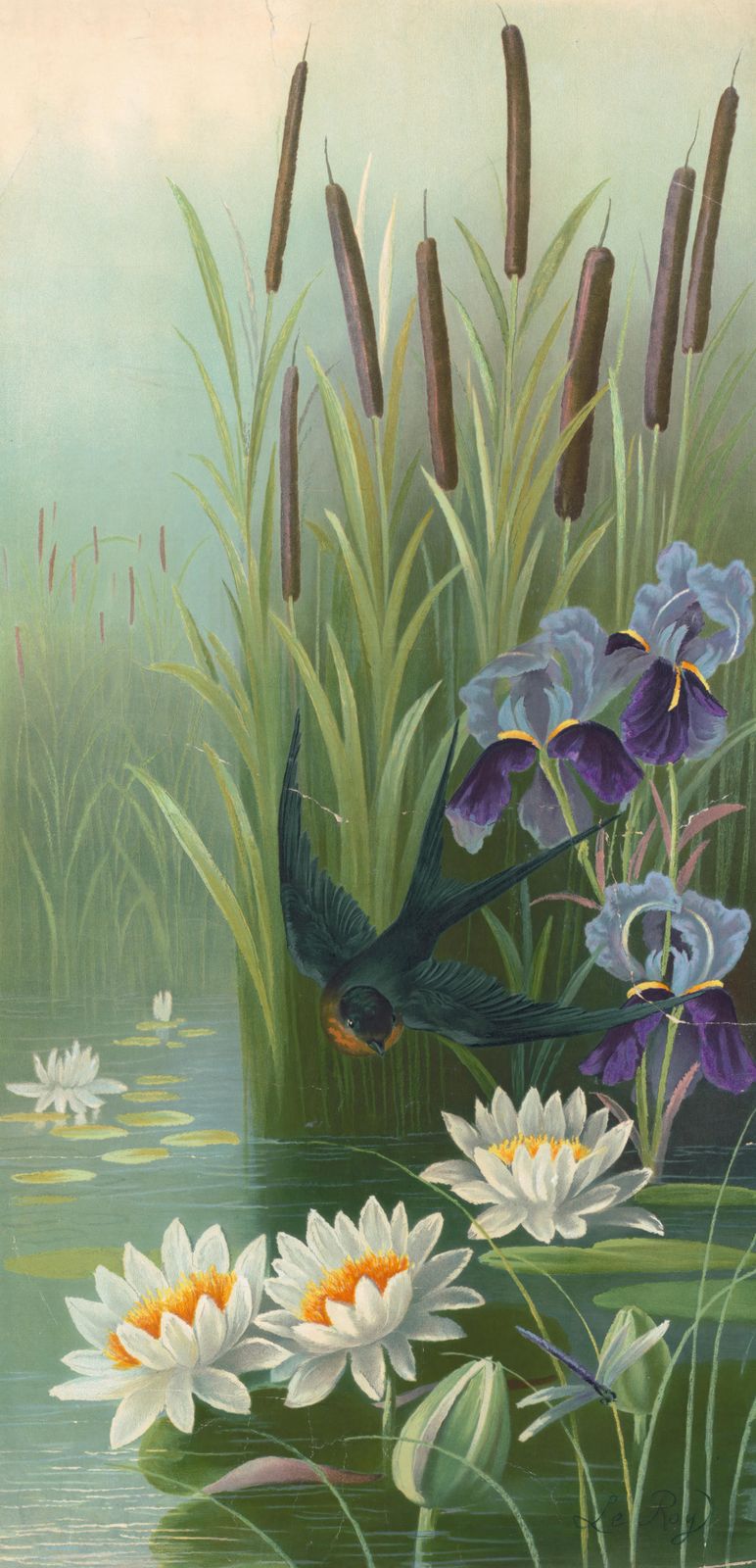 Serene Pond Scene Swallow & Iris Wall Art