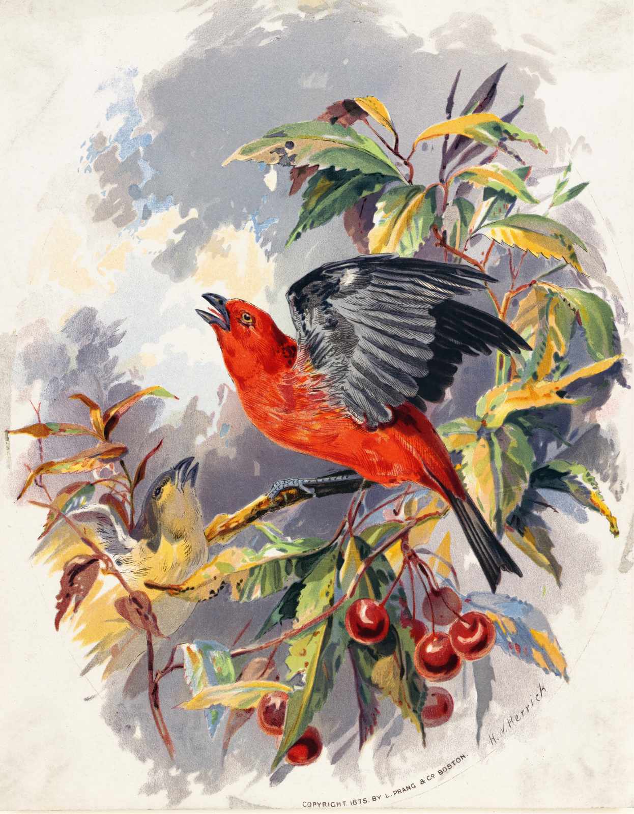 Vibrant Scarlet Tanager Bird Art Wall Art