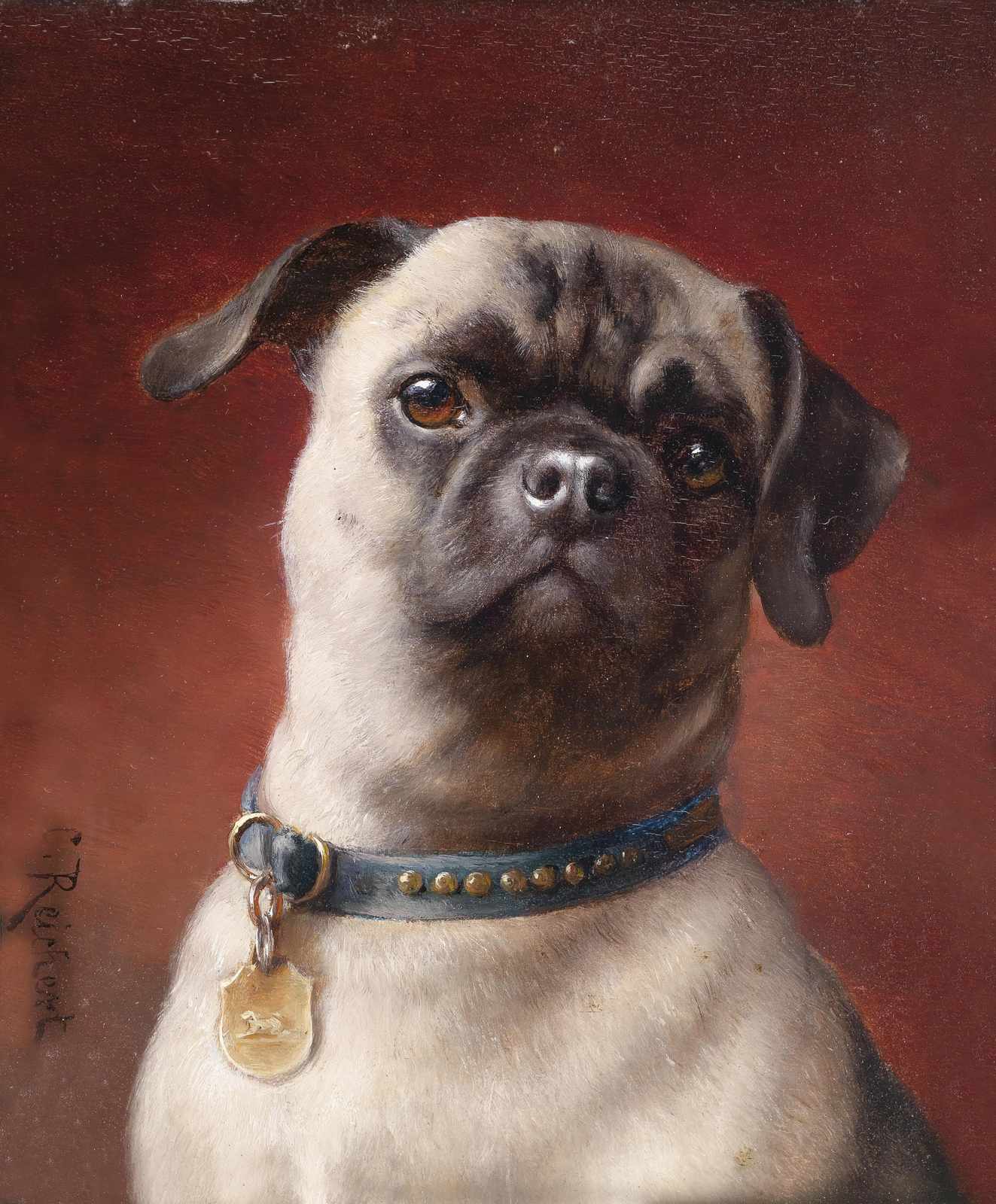 Charming Pug Portrait Wall Art