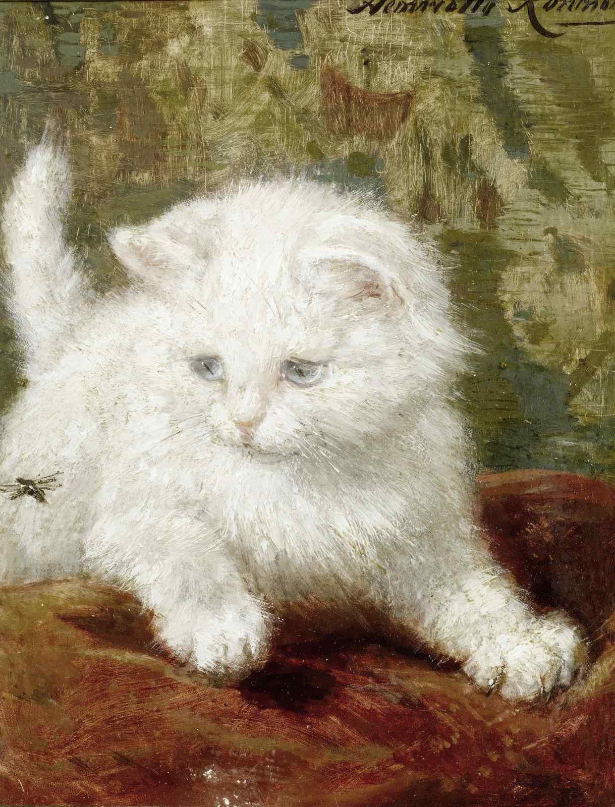 Adorable Fluffy White Kitten Art Wall Art