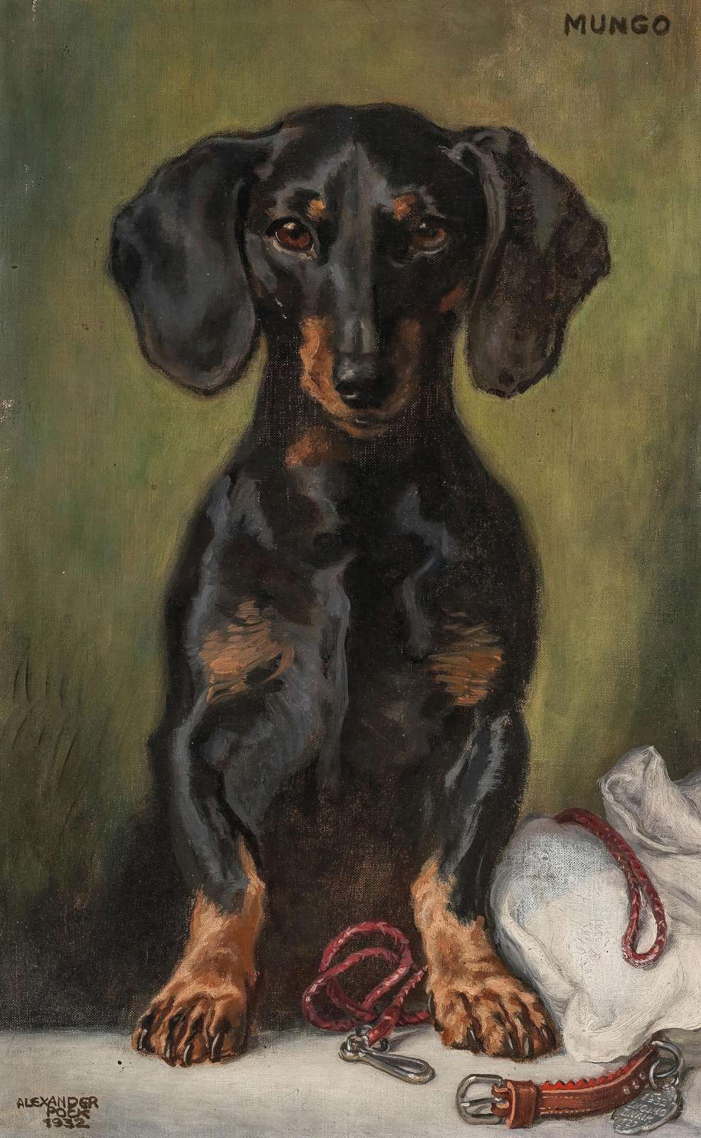 Charming Dachshund Portrait "Mungo" Wall Art
