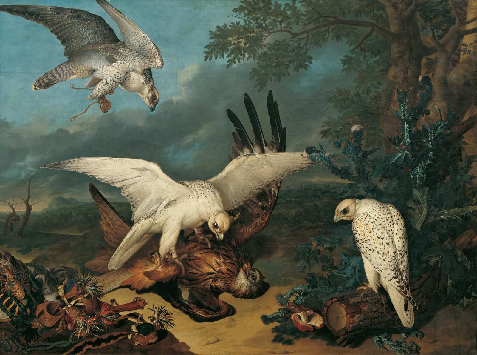 Majestic Falcon Hunt Wall Art | Wildlife Art