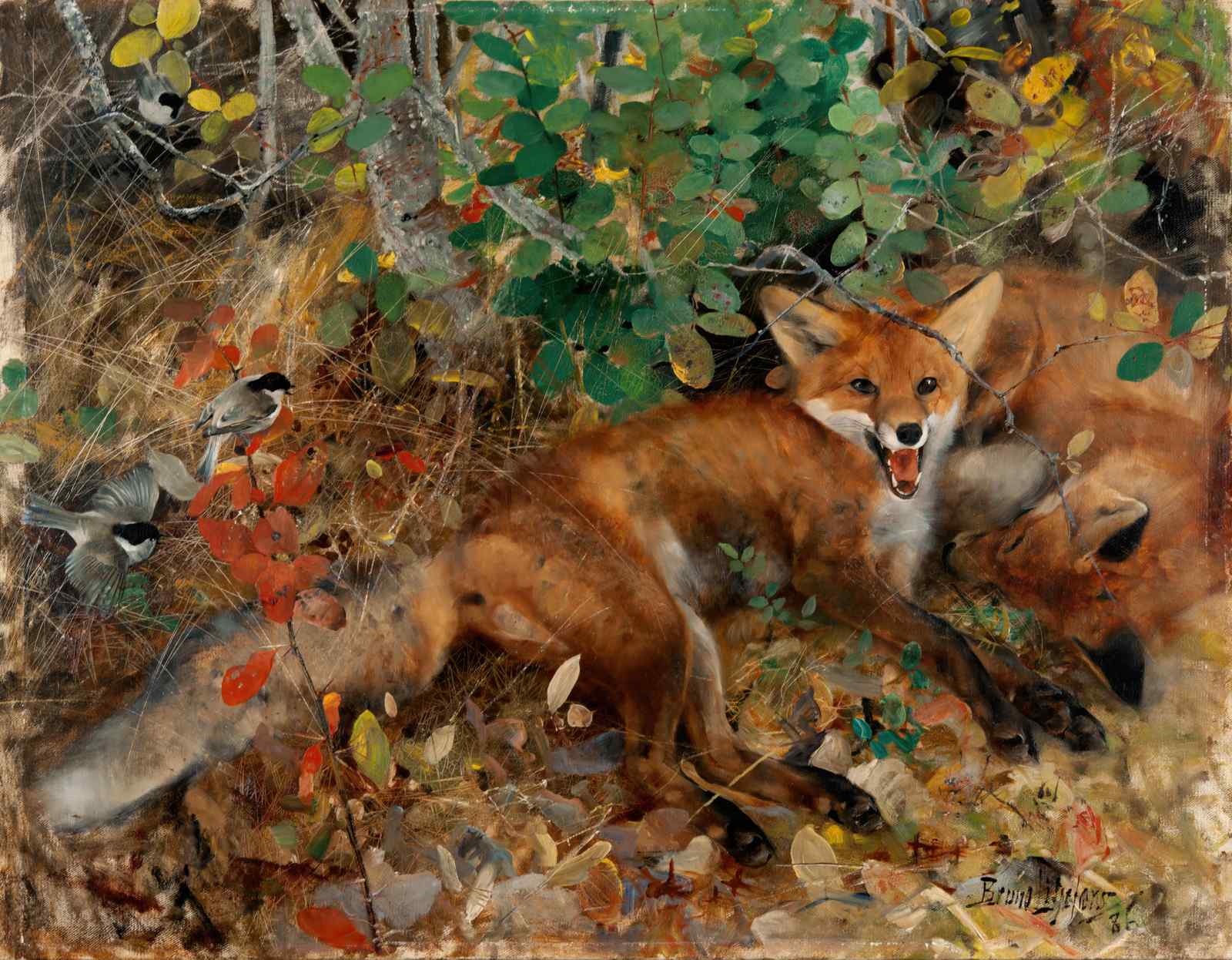 Artistic Foxes & Birds Forest Scene Wall Art