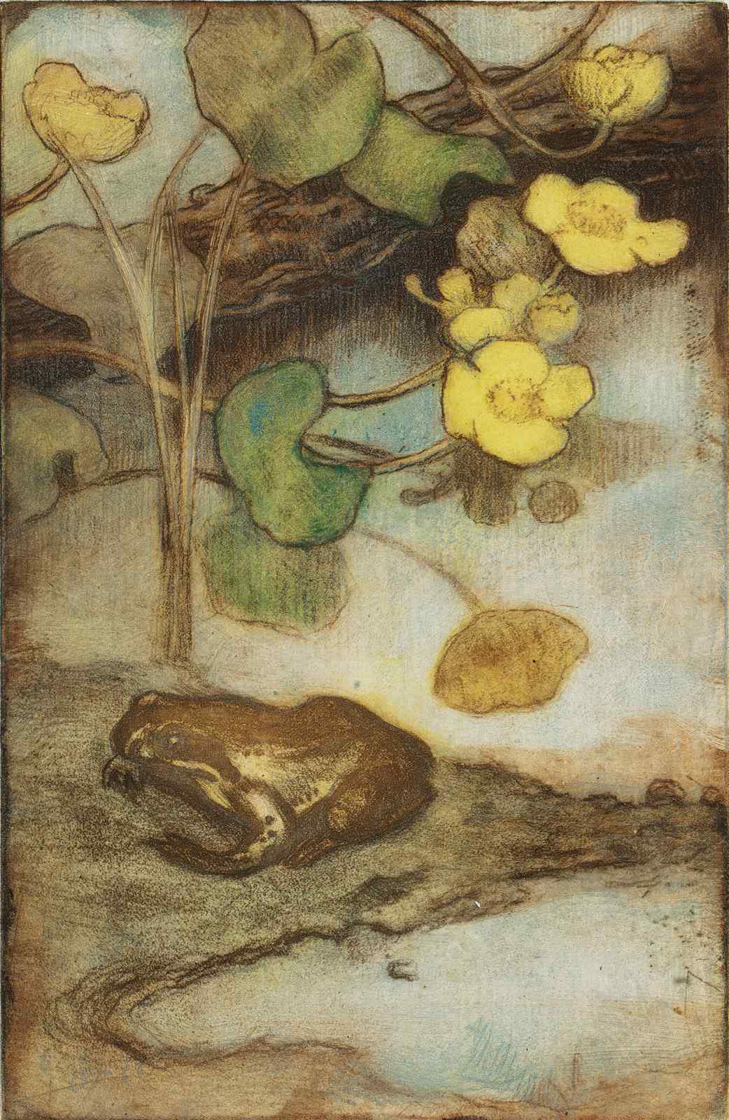 Serene Frog & Lily Pad Nature Wall Art