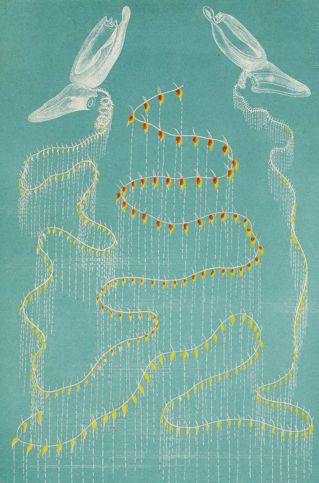 Whimsical Jellyfish String Lights Wall Art