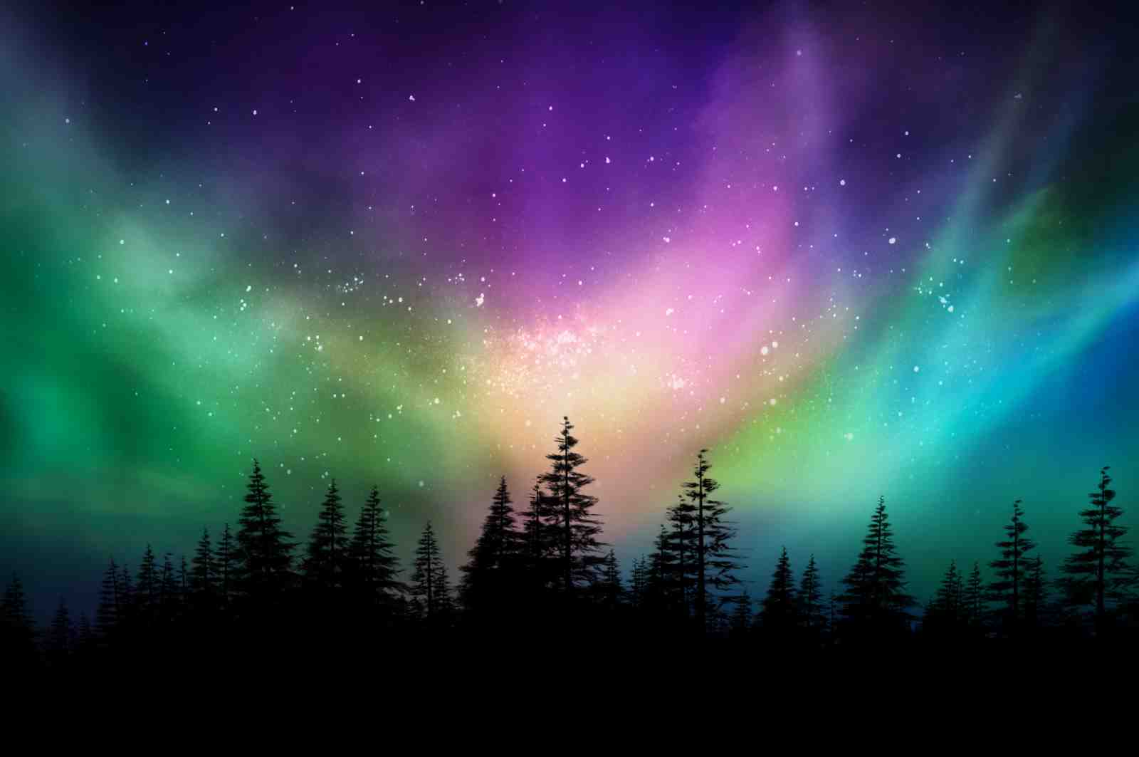 Vibrant Aurora Borealis Forest Wall Art