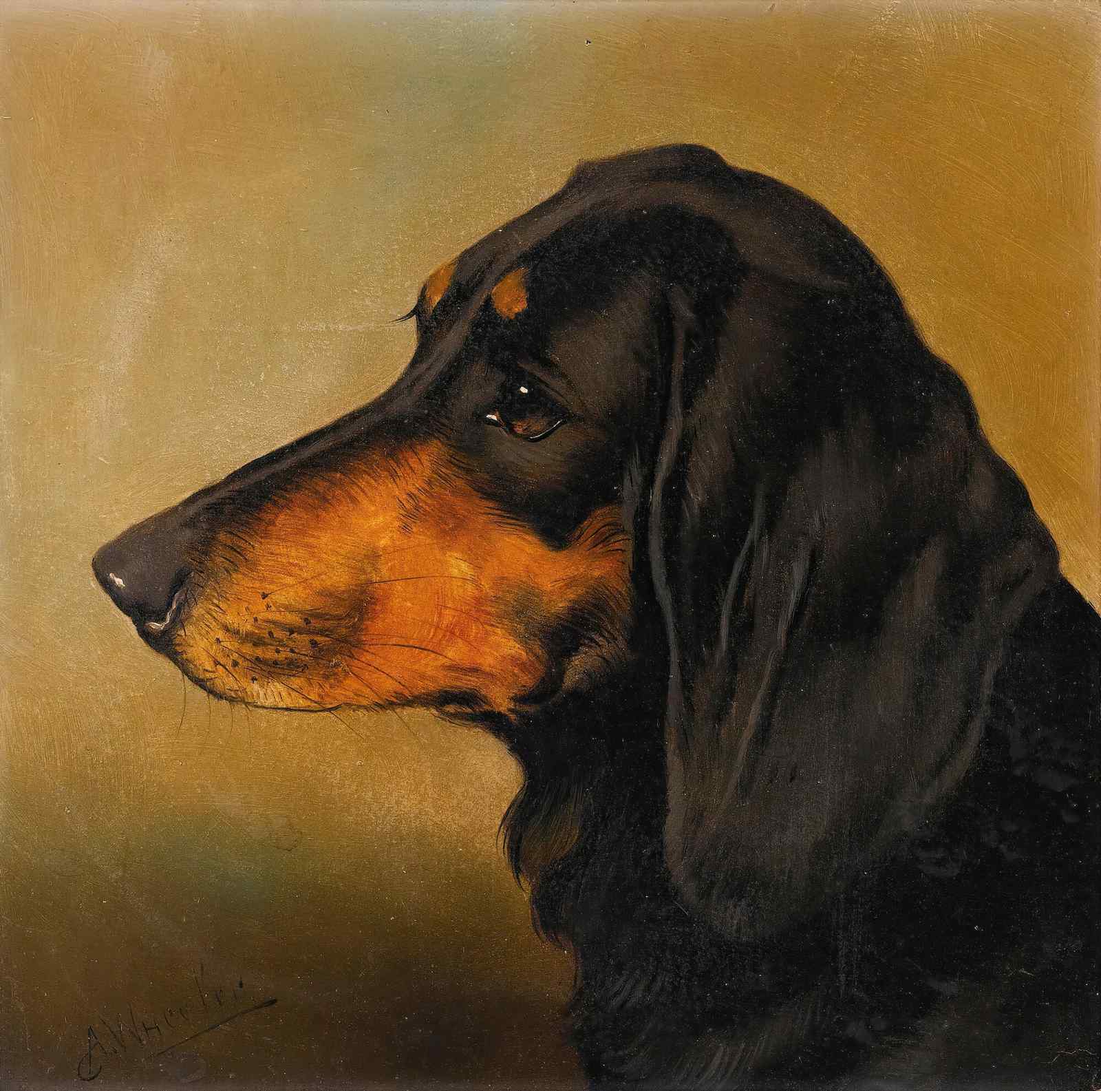 Elegant Dachshund Portrait Wall Art