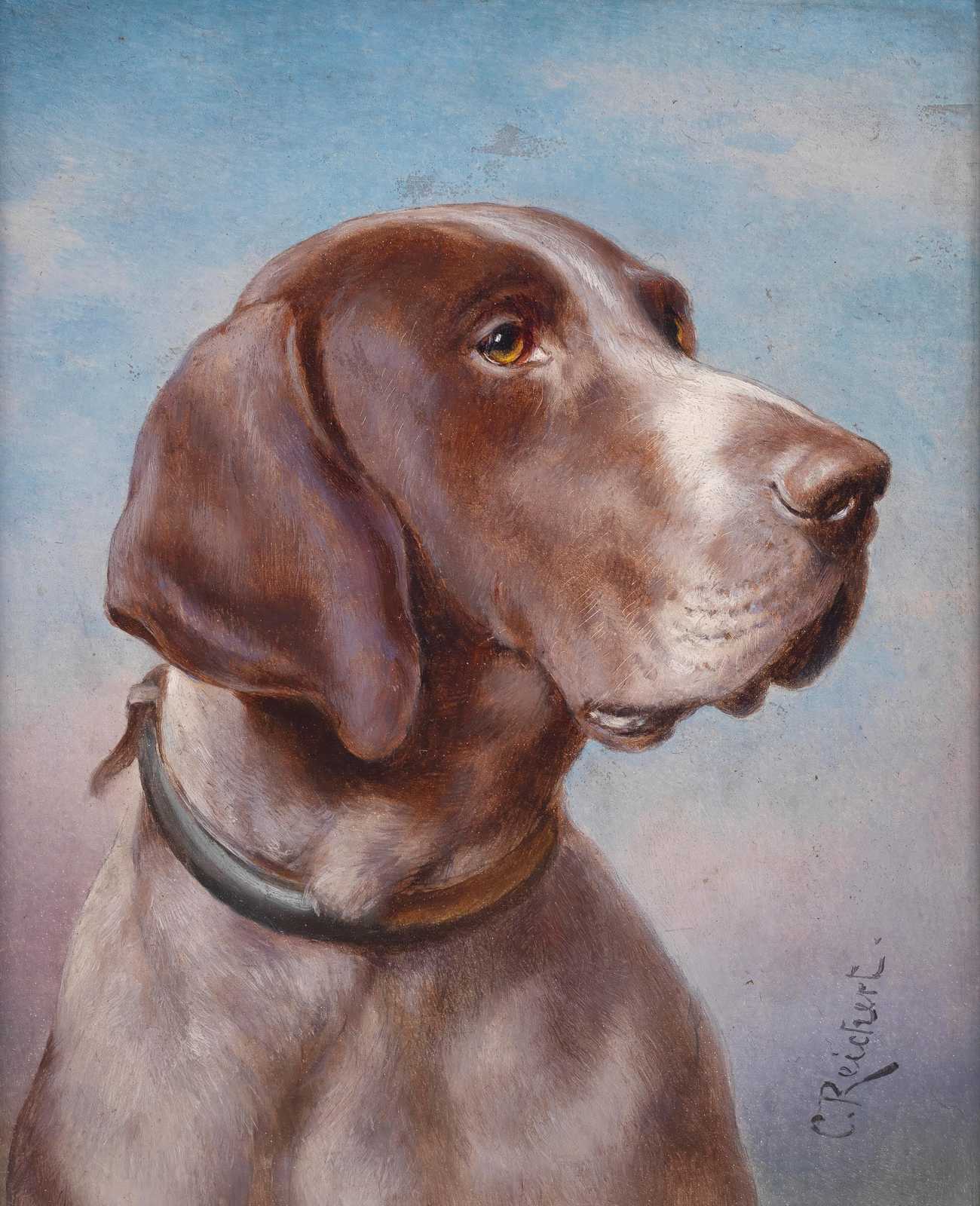 Elegant German Shorthaired Pointer Portrait Wall Art