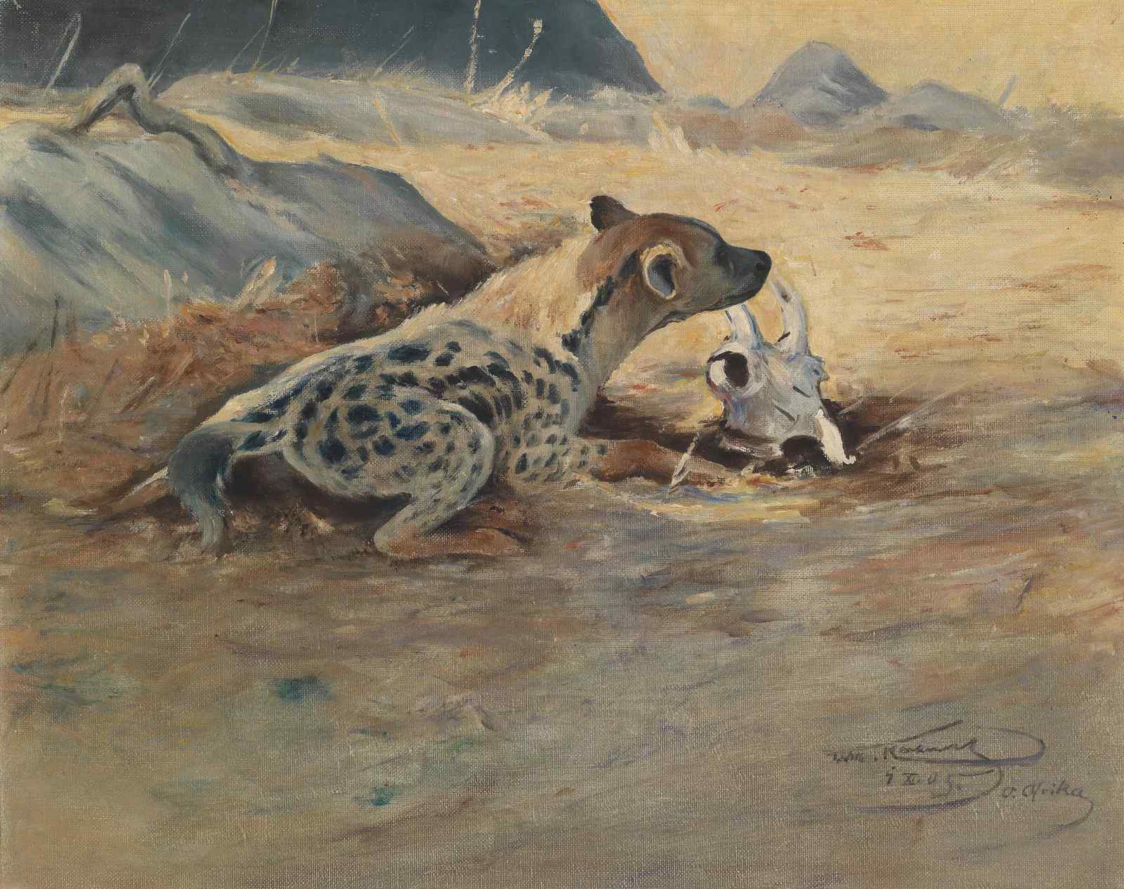 African Hyena with Skull Wall Art