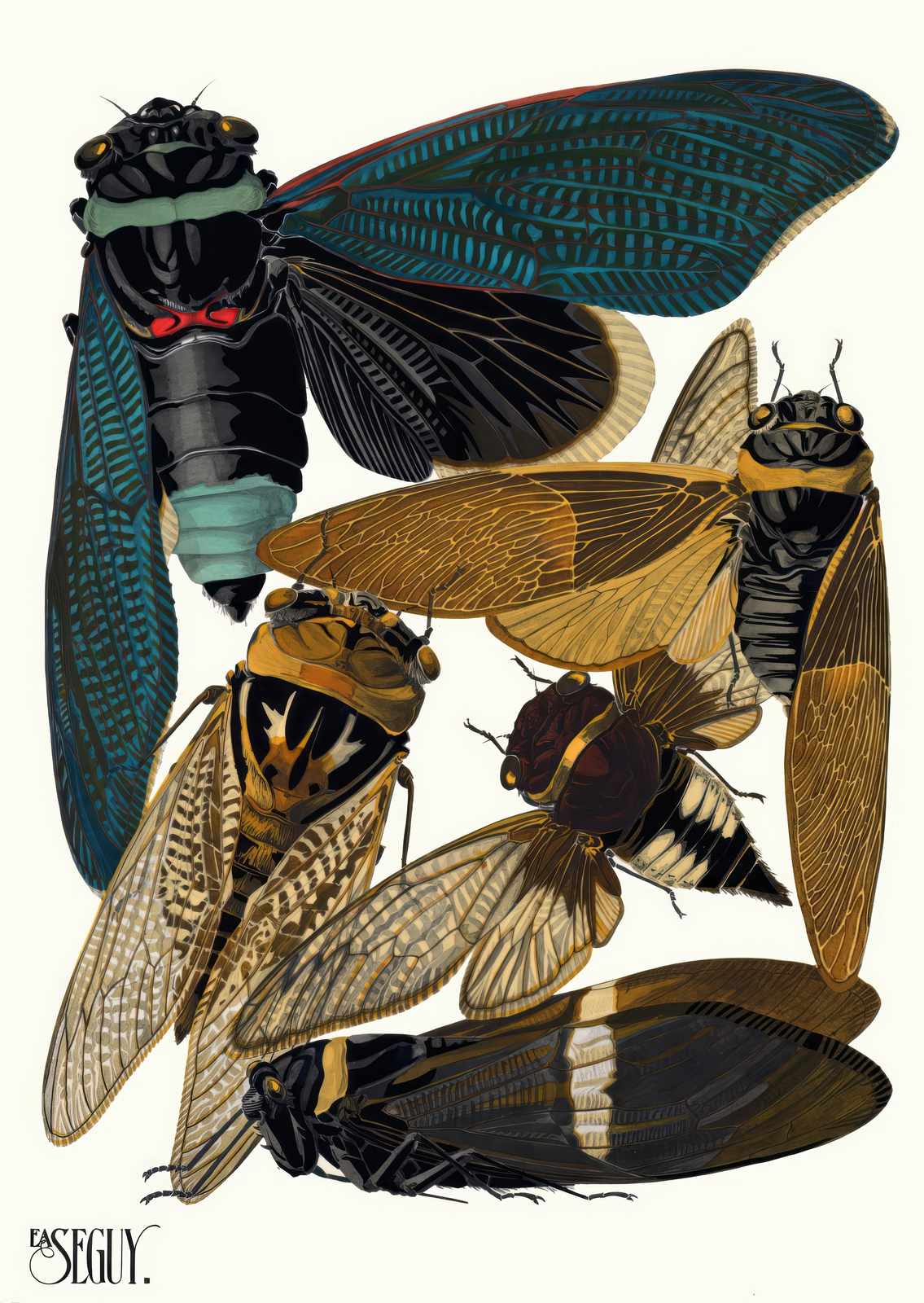 Vintage Cicada Insect Art Wall Art