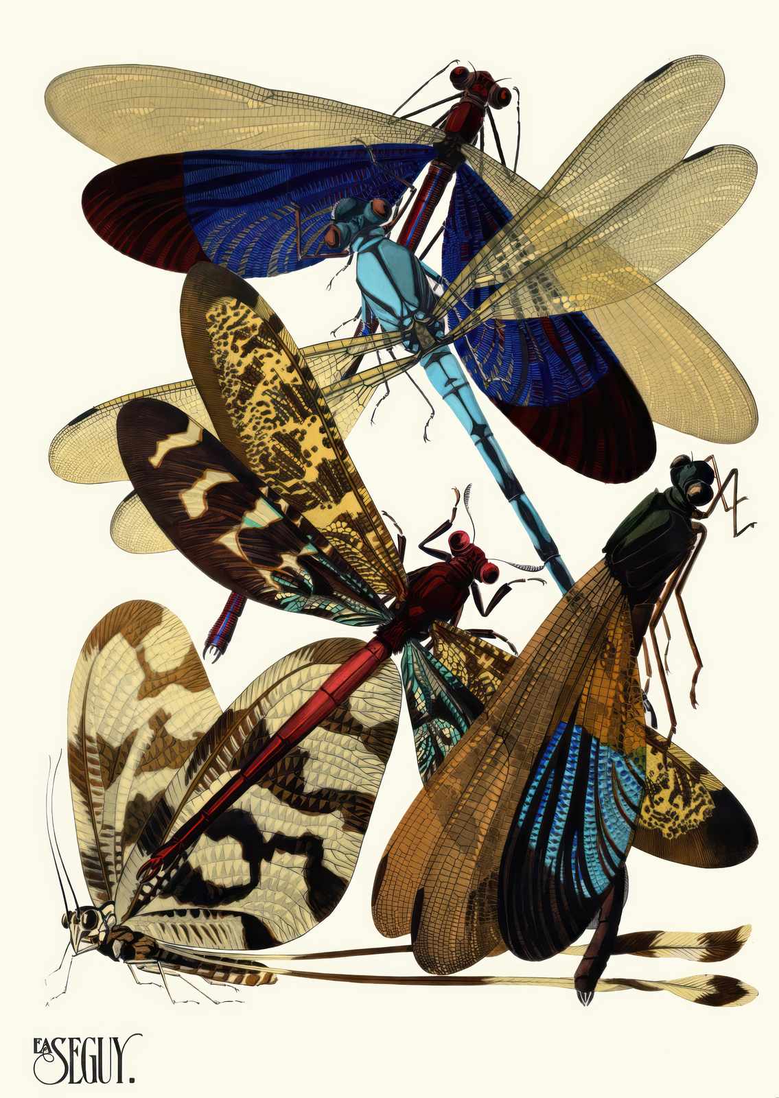 Vintage Dragonfly Art Print | Insect Nature Wall Art