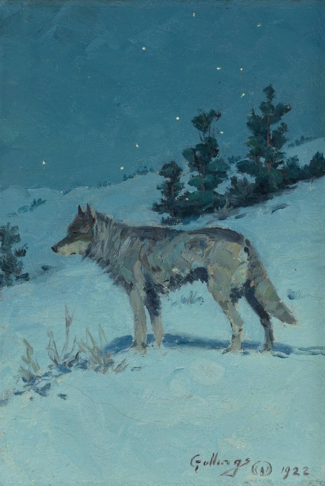 Lone Wolf Winter Night Wall Art
