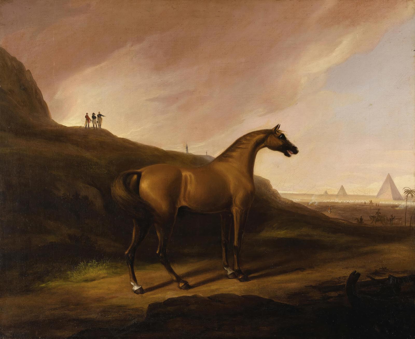 Majestic Arabian Horse in Egyptian Desert Wall Art