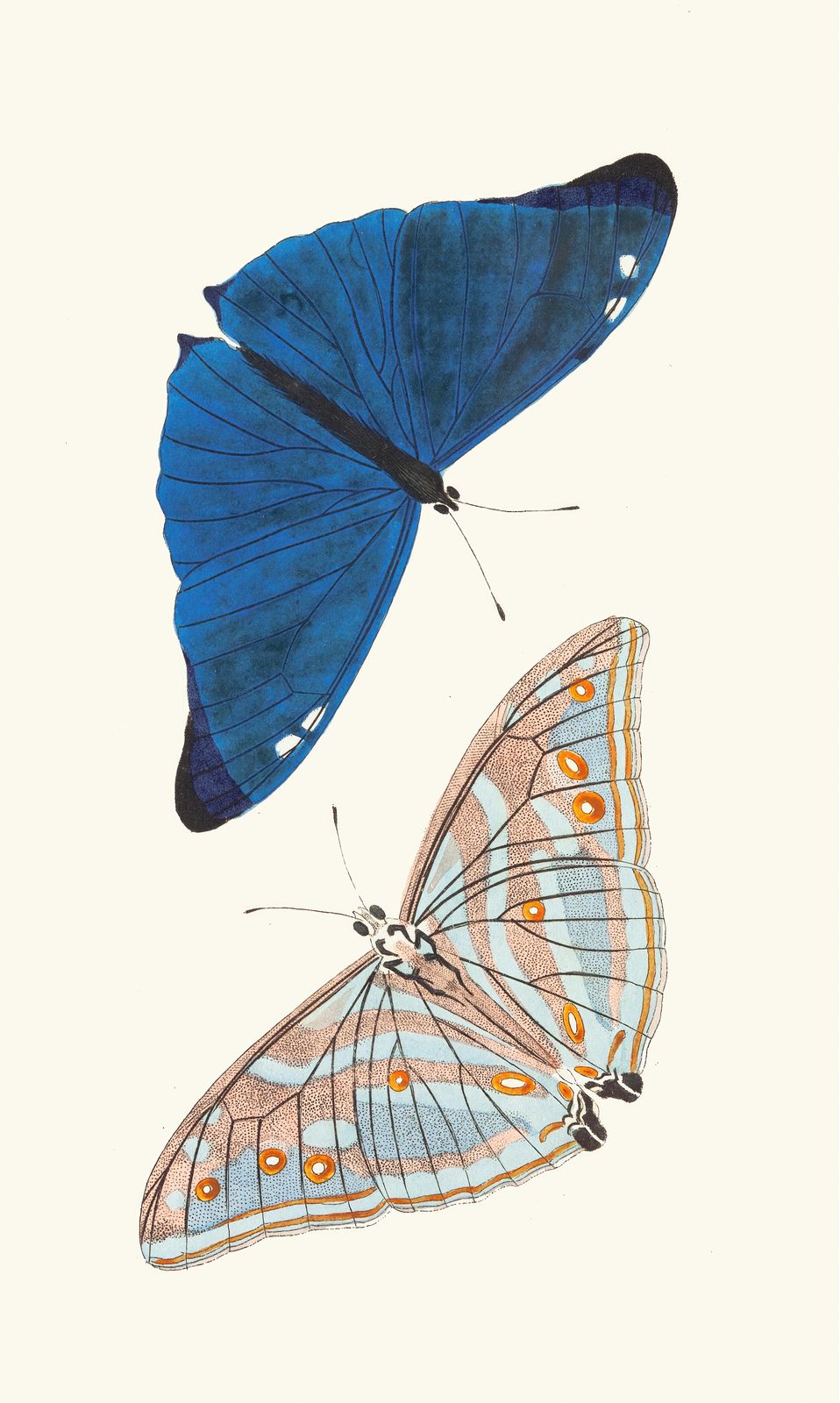 Vintage Butterfly Duo Blue & Pastel Wall Art