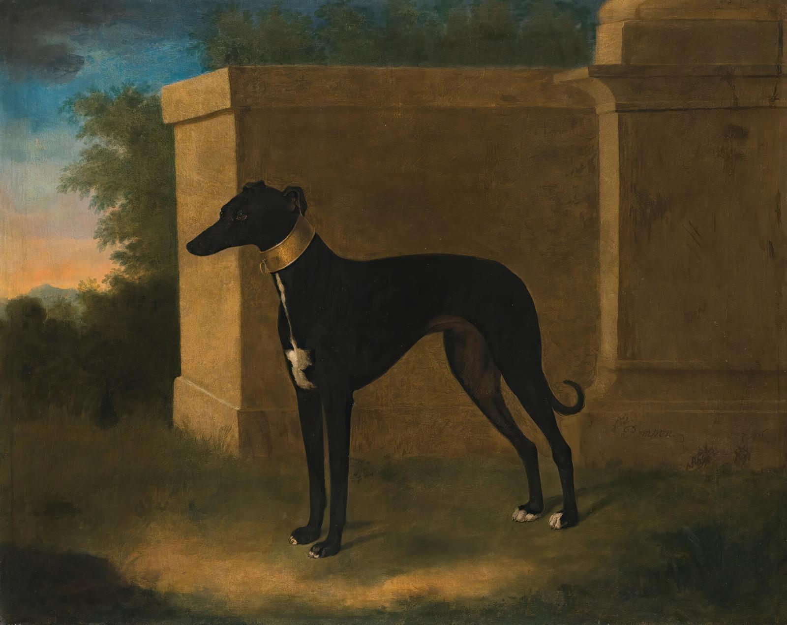 Elegant Black Greyhound Portrait Wall Art